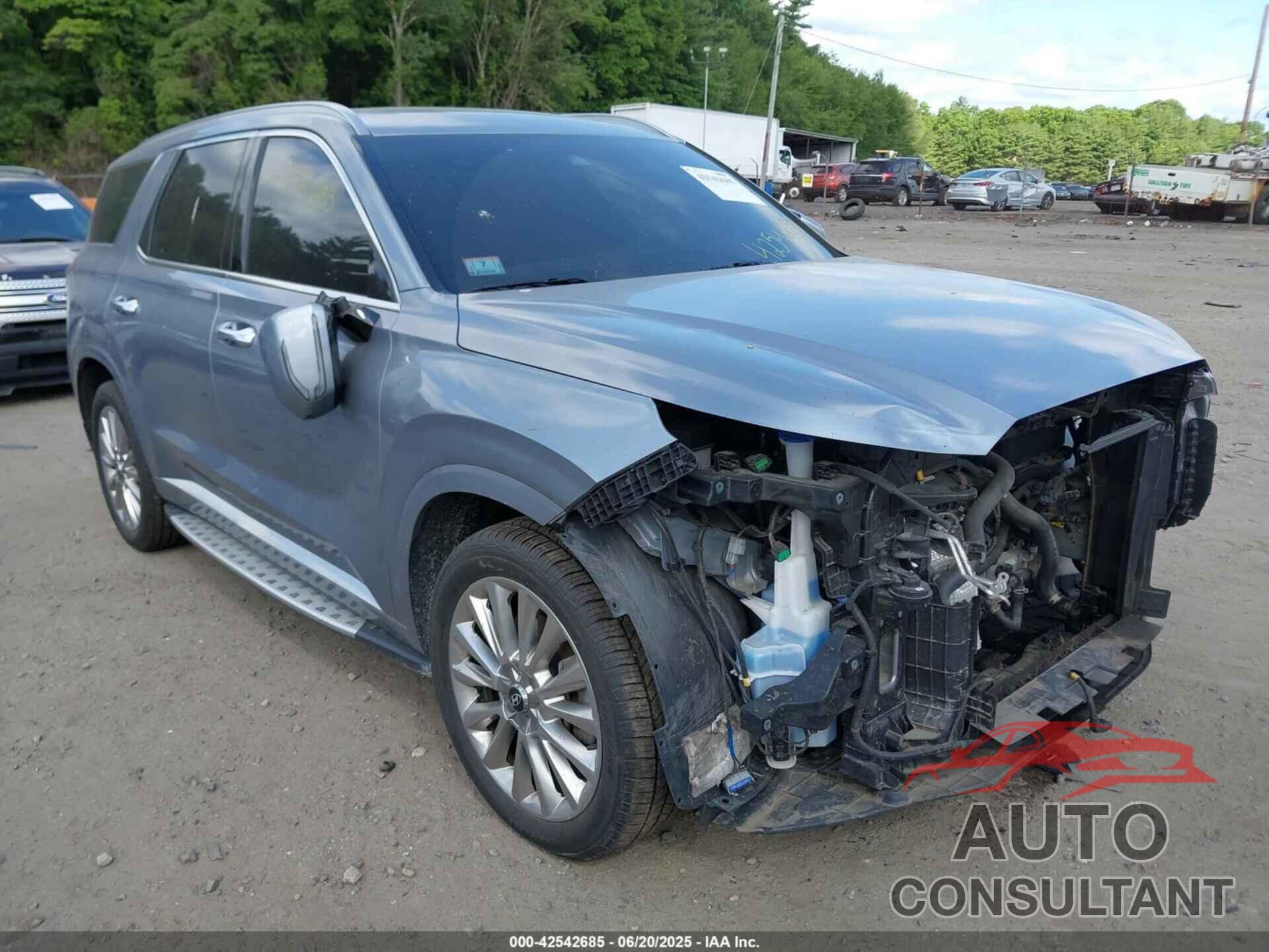 HYUNDAI PALISADE 2020 - KM8R5DHE8LU130245