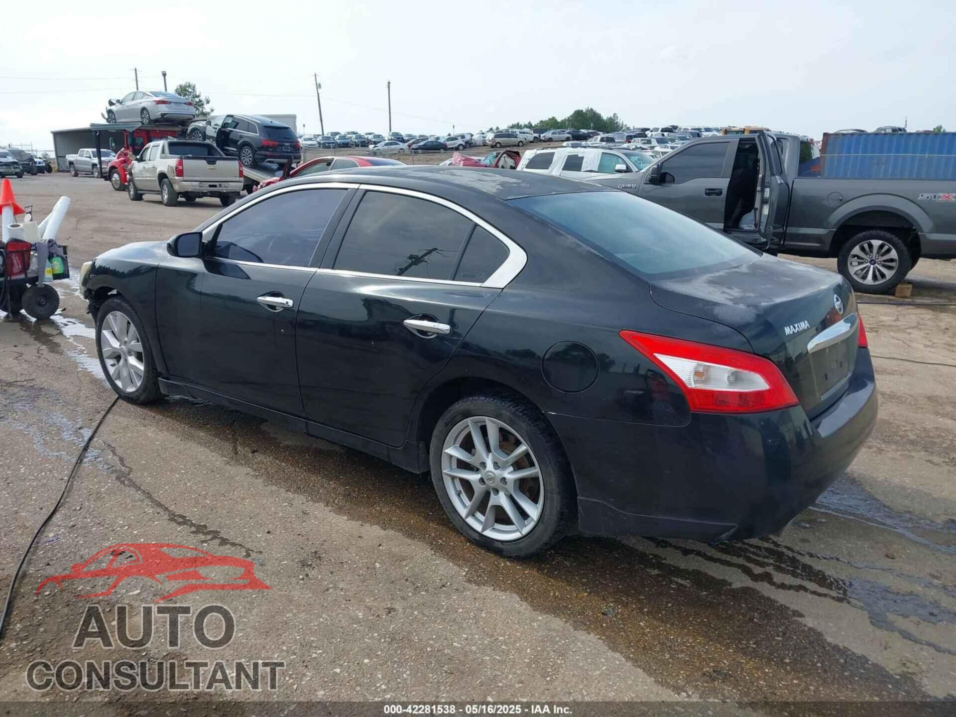 NISSAN MAXIMA 2011 - 1N4AA5AP1BC812666
