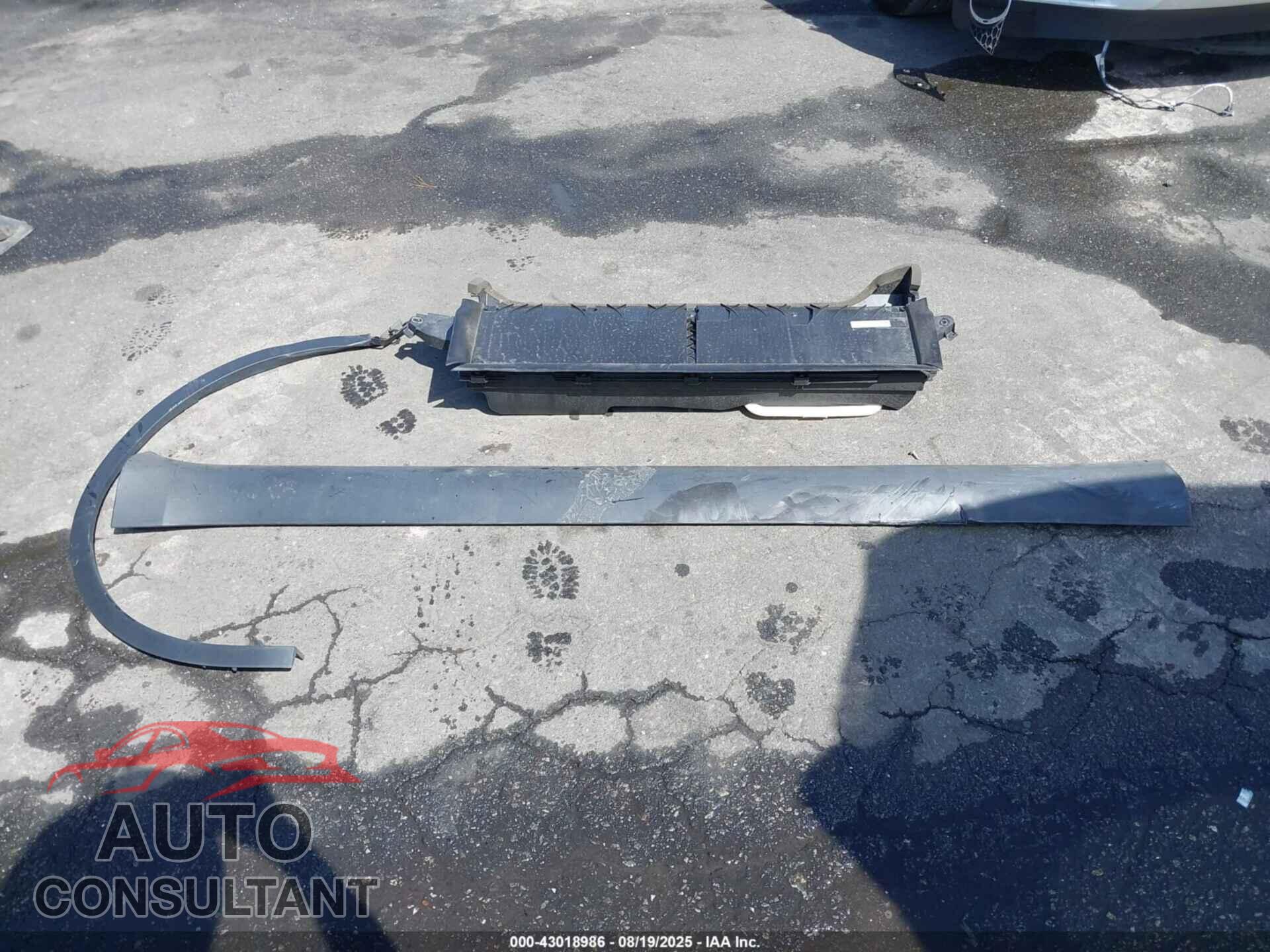 TESLA MODEL Y 2023 - 7SAYGAEE5PF686544