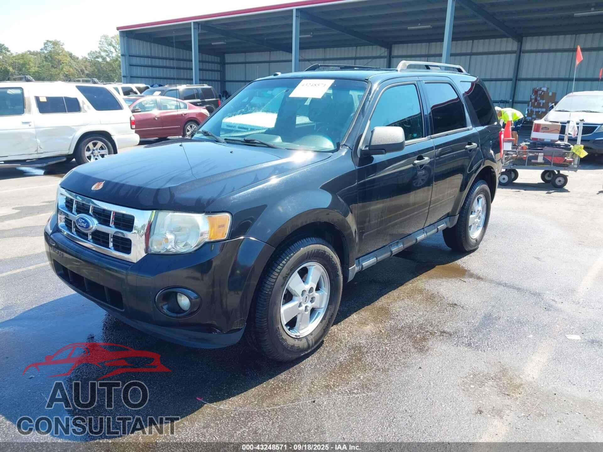 FORD ESCAPE 2011 - 1FMCU0D76BKB92651
