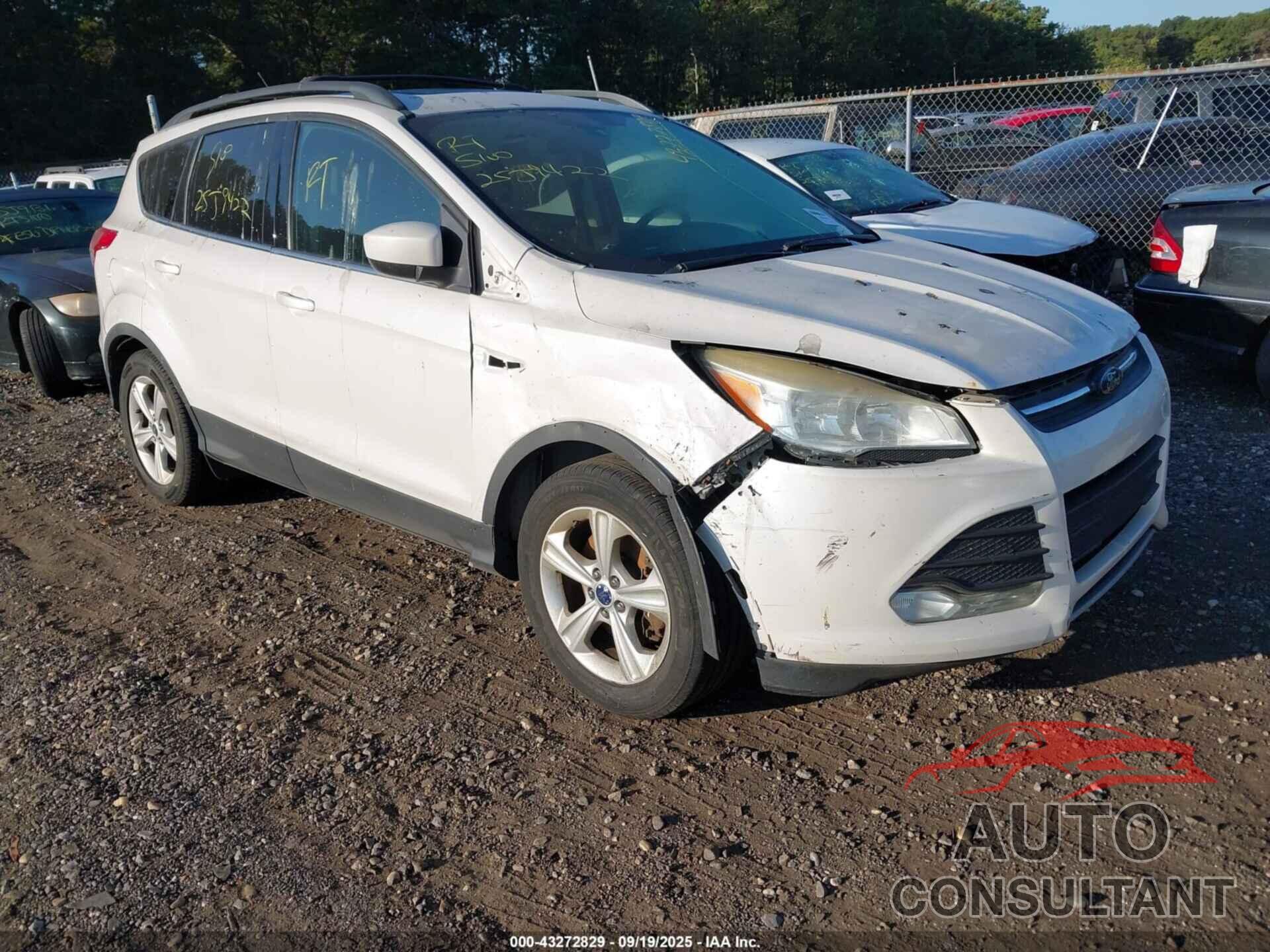 FORD ESCAPE 2014 - 1FMCU9G90EUC64177
