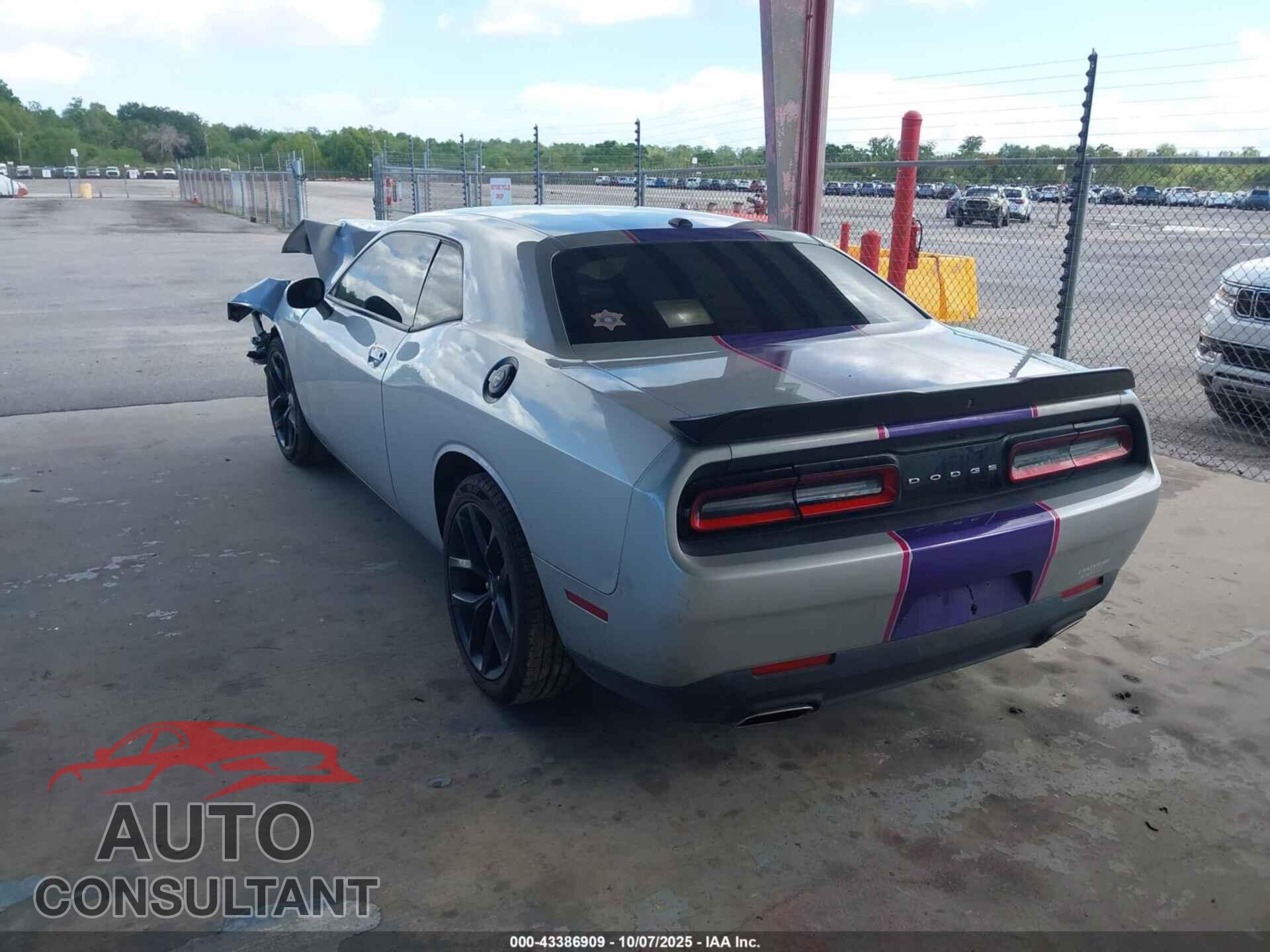 DODGE CHALLENGER 2019 - 2C3CDZAG9KH666679