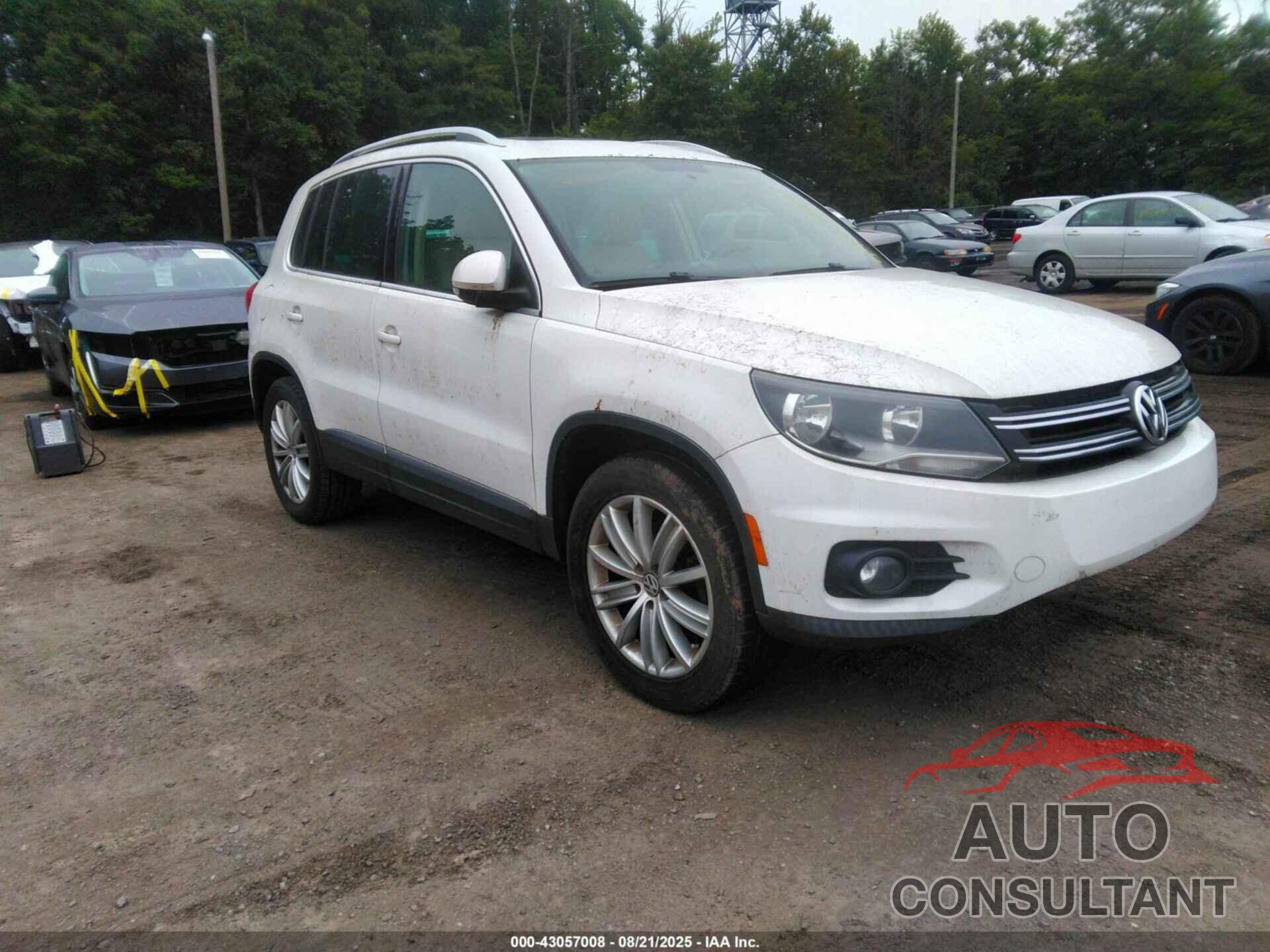 VOLKSWAGEN TIGUAN 2013 - WVGAV7AX9DW551052