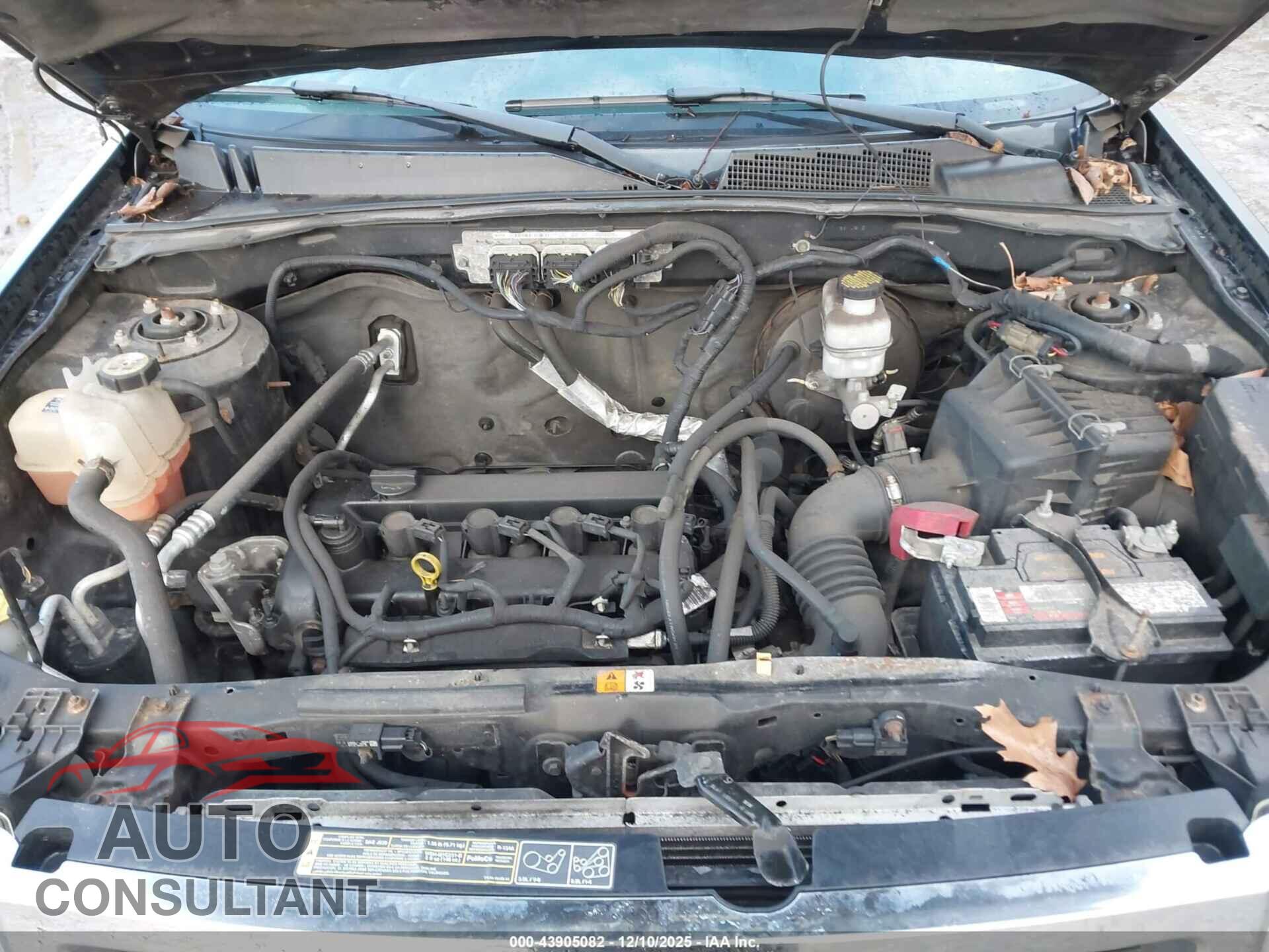 FORD ESCAPE 2011 - 1FMCU0D76BKA97376