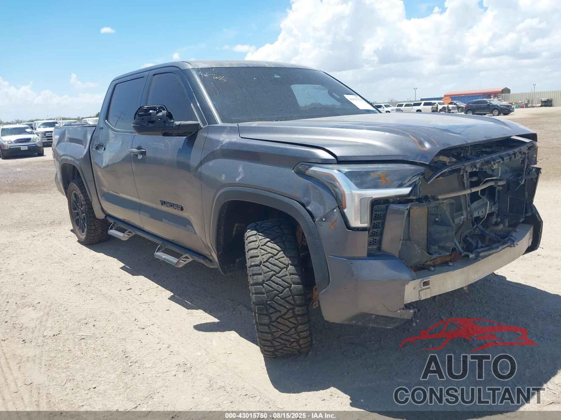 TOYOTA TUNDRA 2023 - 5TFLA5DB4PX106021
