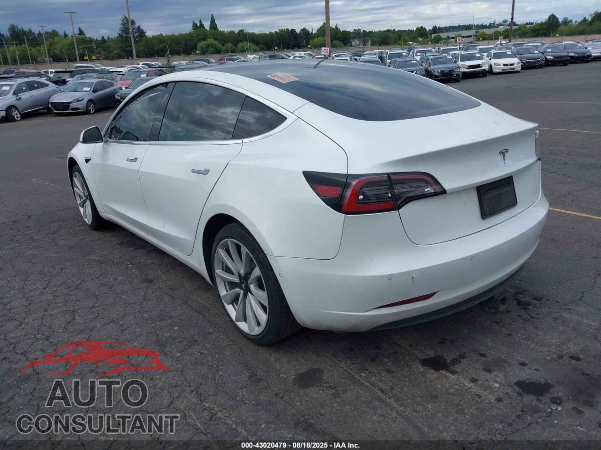 TESLA MODEL 3 2020 - 5YJ3E1EA0LF614302
