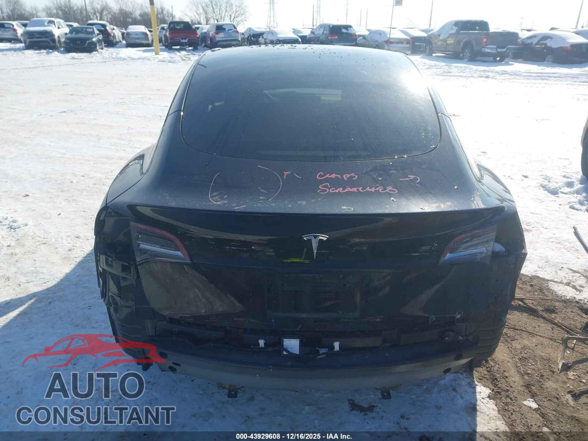 TESLA MODEL 3 2023 - 5YJ3E1EA2PF446992