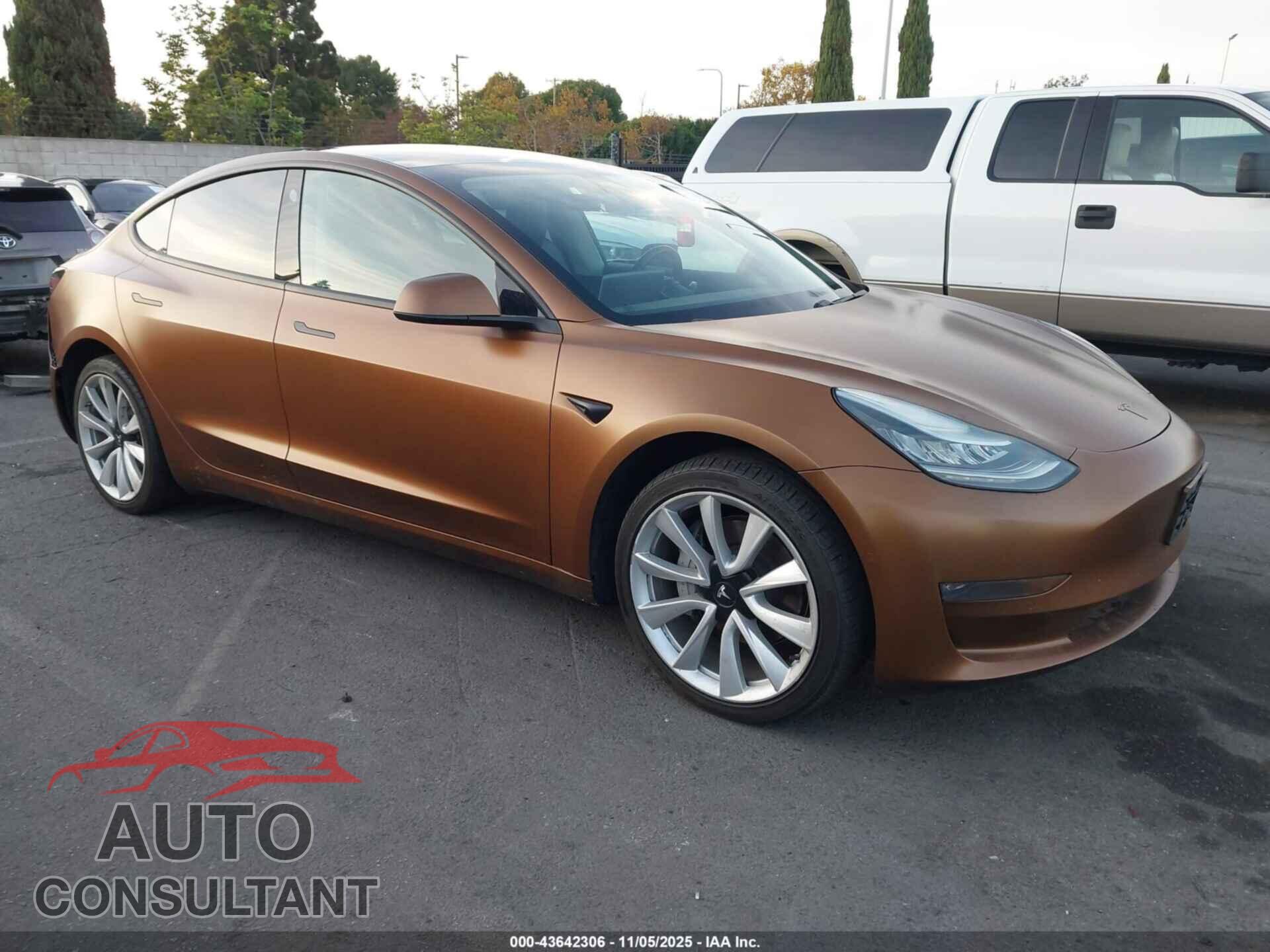 TESLA MODEL 3 2019 - 5YJ3E1EA2KF301203