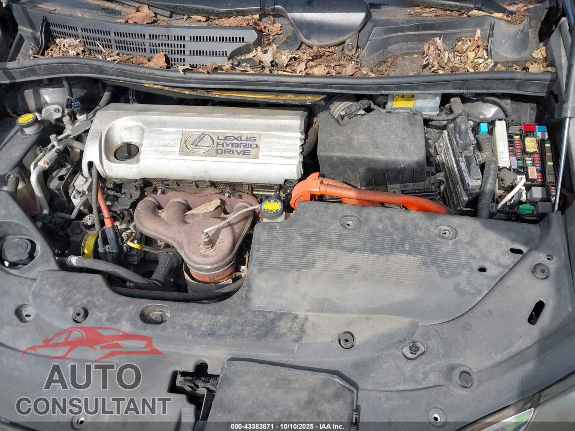 LEXUS HS 250H 2010 - JTHBB1BA4A2012901