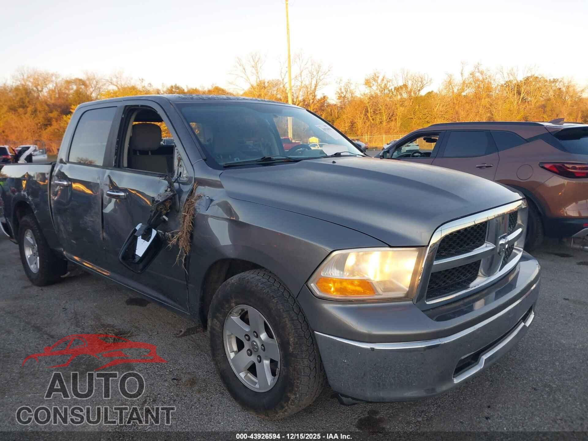 DODGE RAM 1500 2010 - 1D7RB1CP5AS104656