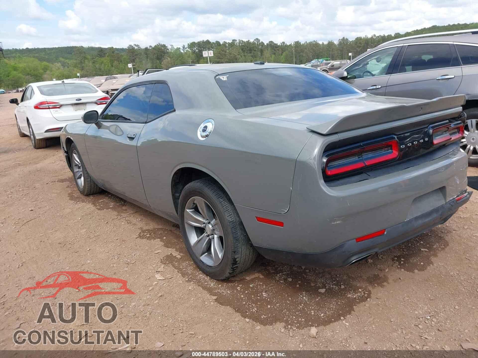 DODGE CHALLENGER 2019 - 2C3CDZAG9KH694496