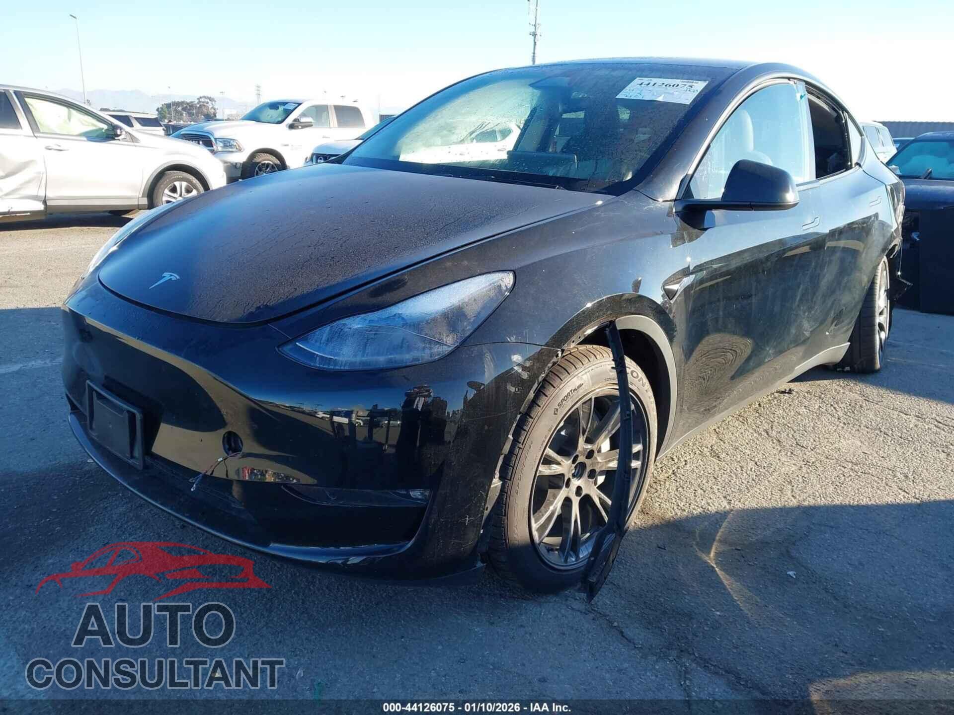 TESLA MODEL Y 2024 - 7SAYGDEE4RF129239