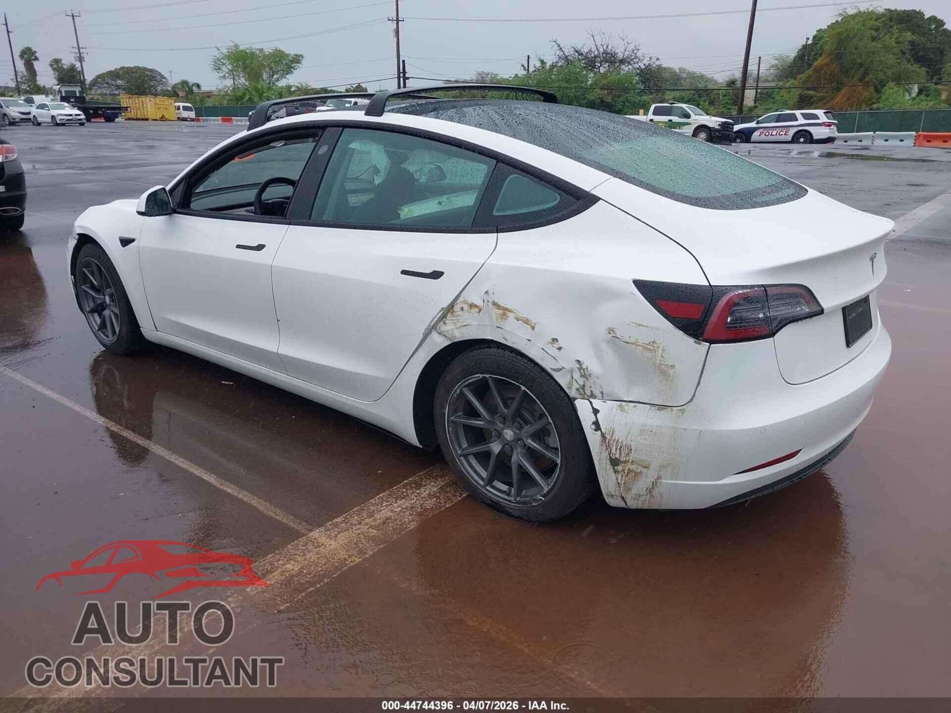TESLA MODEL 3 2021 - 5YJ3E1EA2MF976813