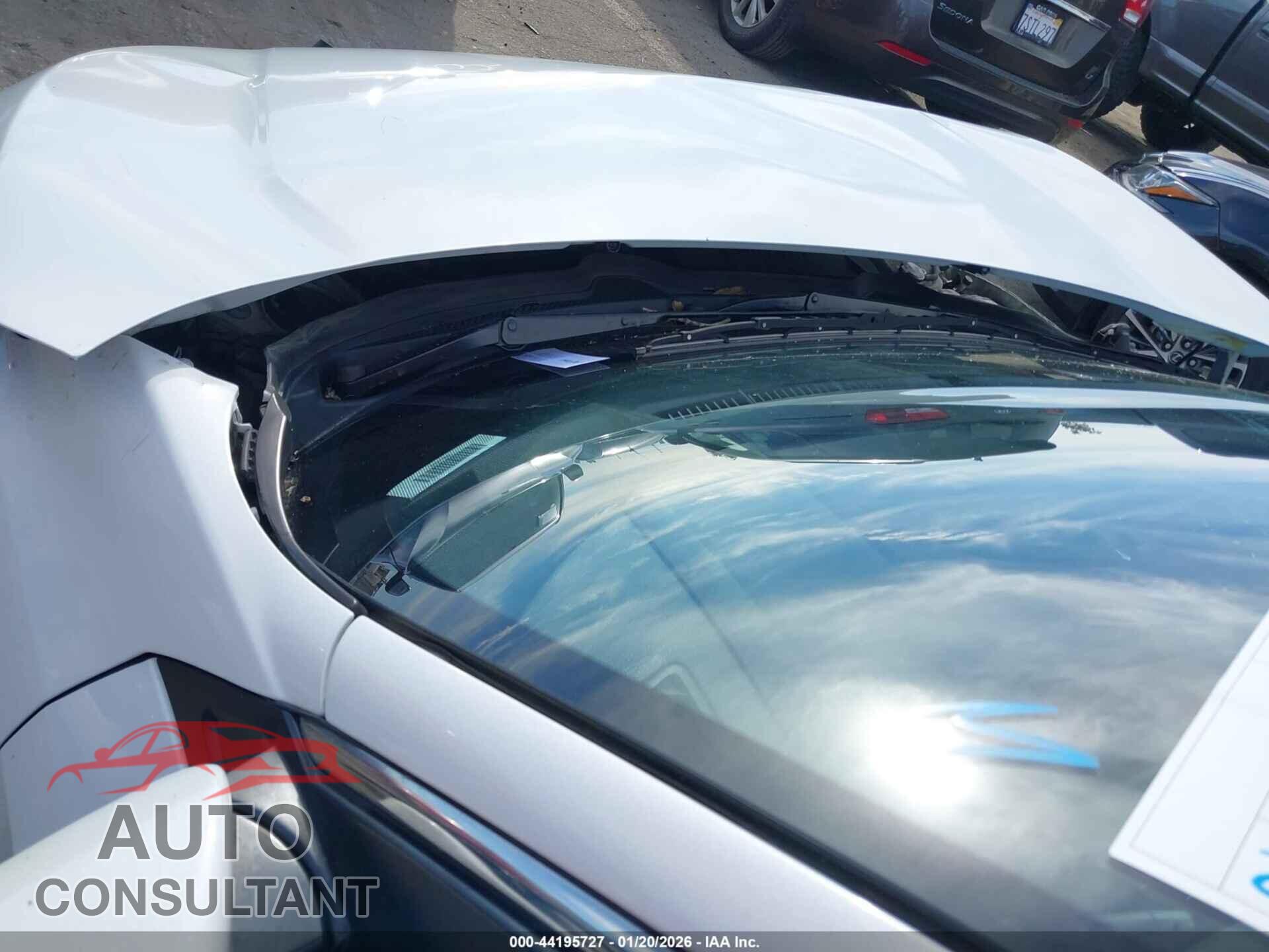 HONDA CIVIC 2019 - 2HGFC2F68KH540835