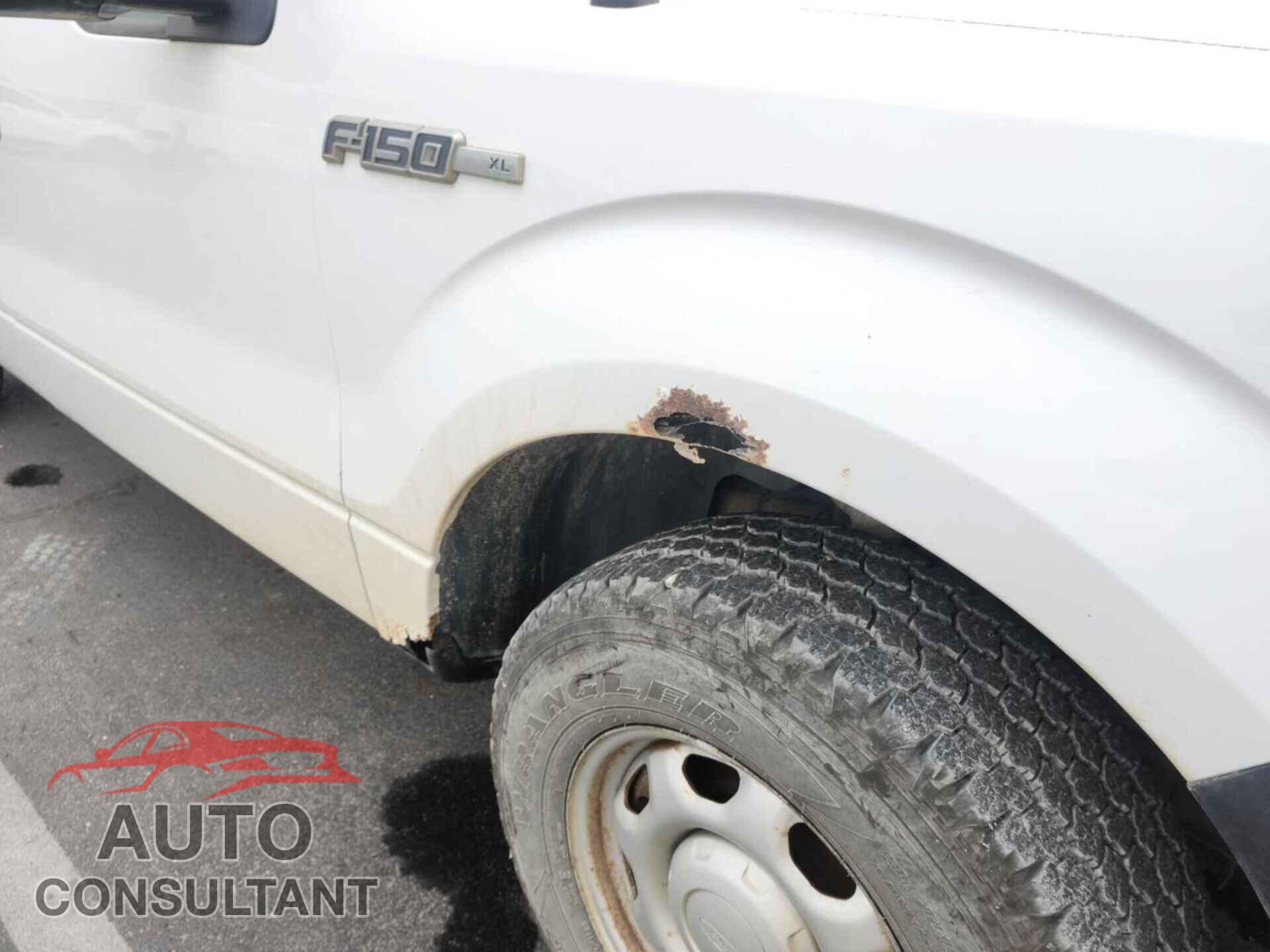 FORD F-150 2010 - 1FTFX1CV3AFD91727