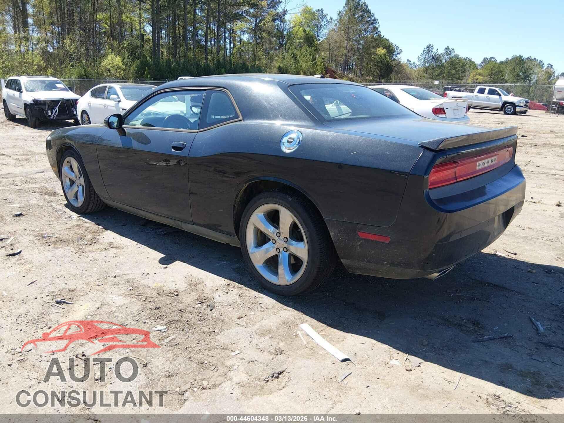 DODGE CHALLENGER 2014 - 2C3CDYAG5EH111999