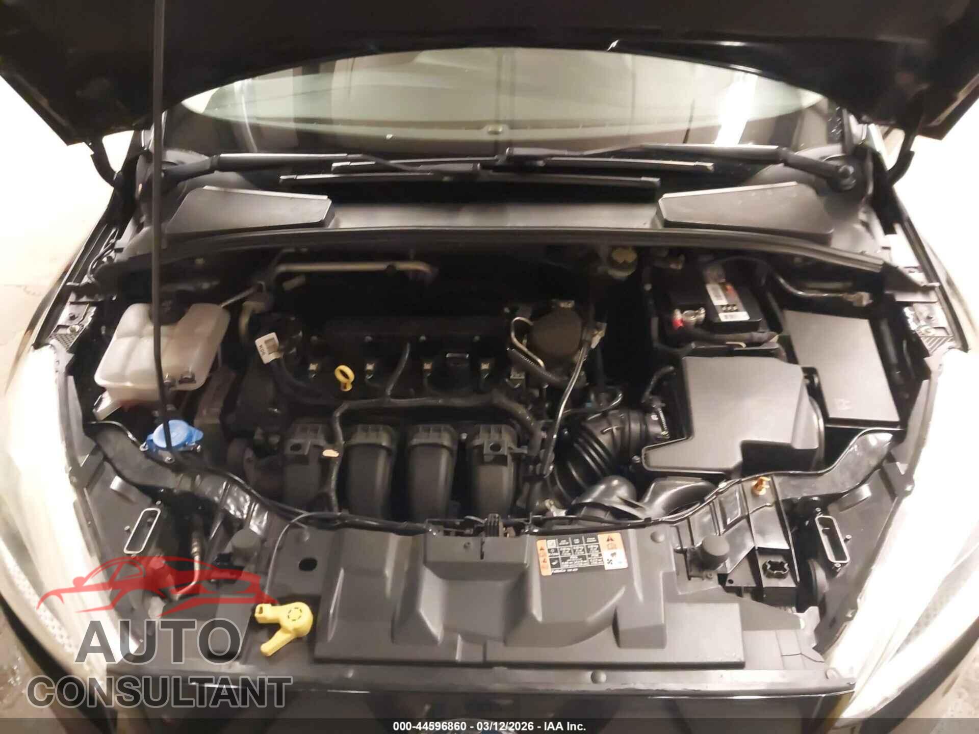 FORD FOCUS 2016 - 1FADP3F21GL292196