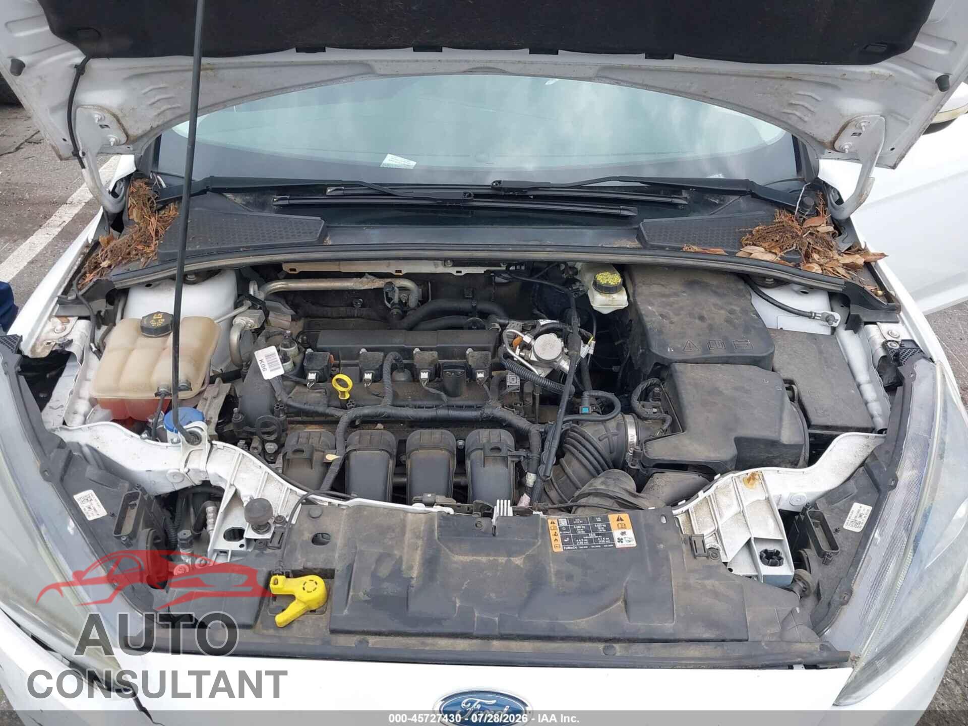 FORD FOCUS 2017 - 1FADP3M23HL281916
