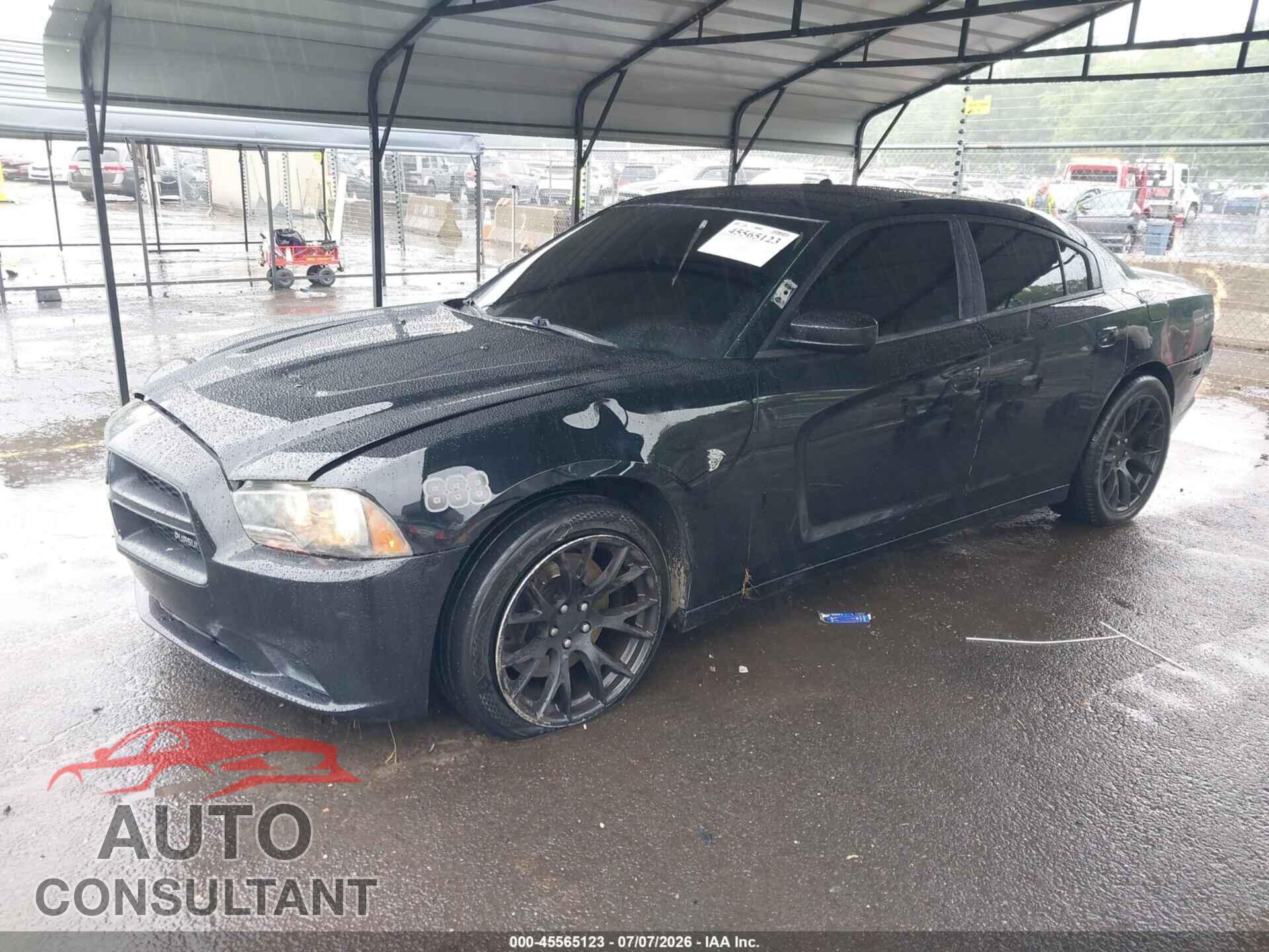 DODGE CHARGER 2014 - 2C3CDXKT2EH351288