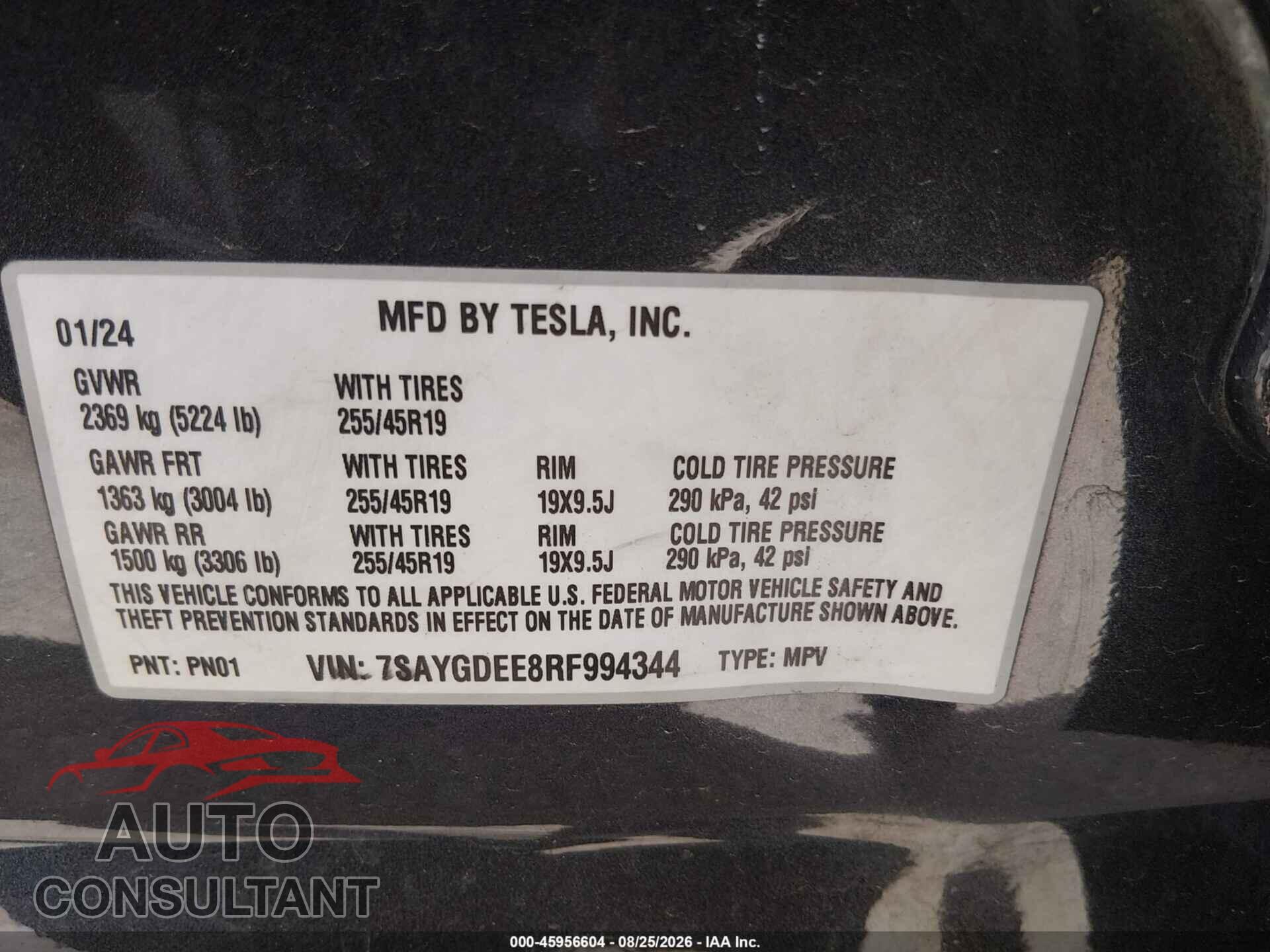 TESLA MODEL Y 2024 - 7SAYGDEE8RF994344