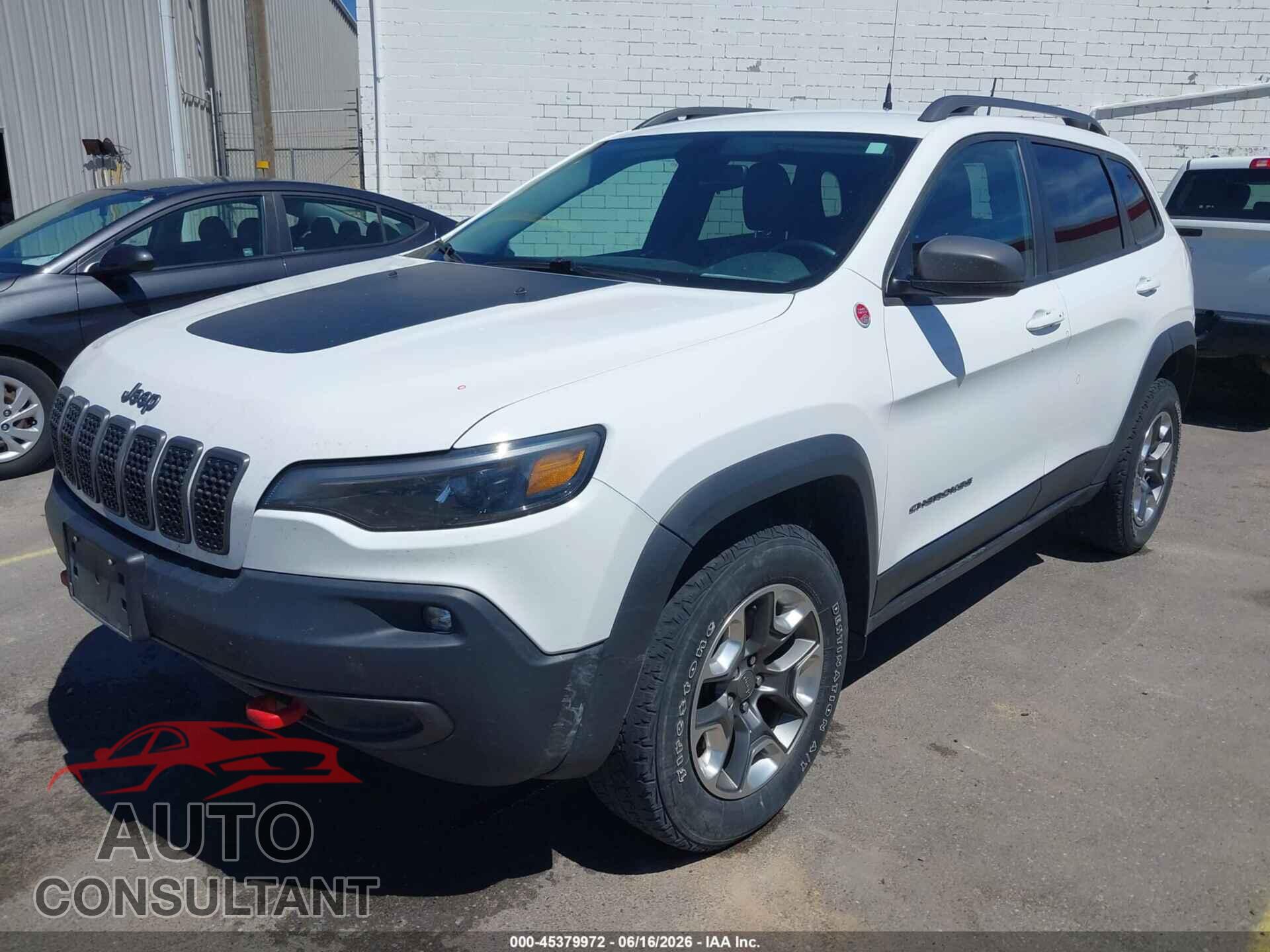 JEEP CHEROKEE 2019 - 1C4PJMBX4KD185520