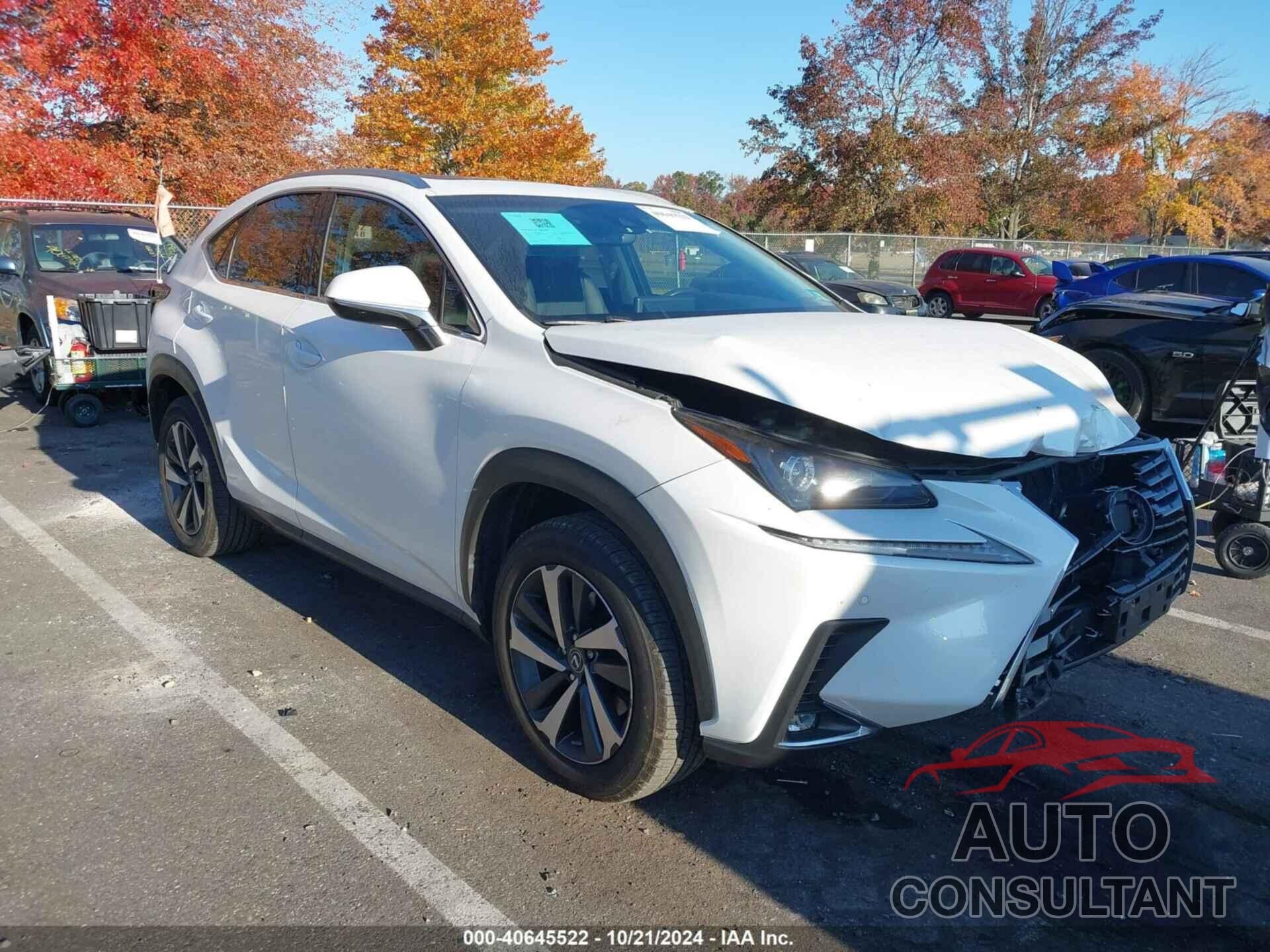 LEXUS NX 300 2019 - JTJBARBZ5K2194227