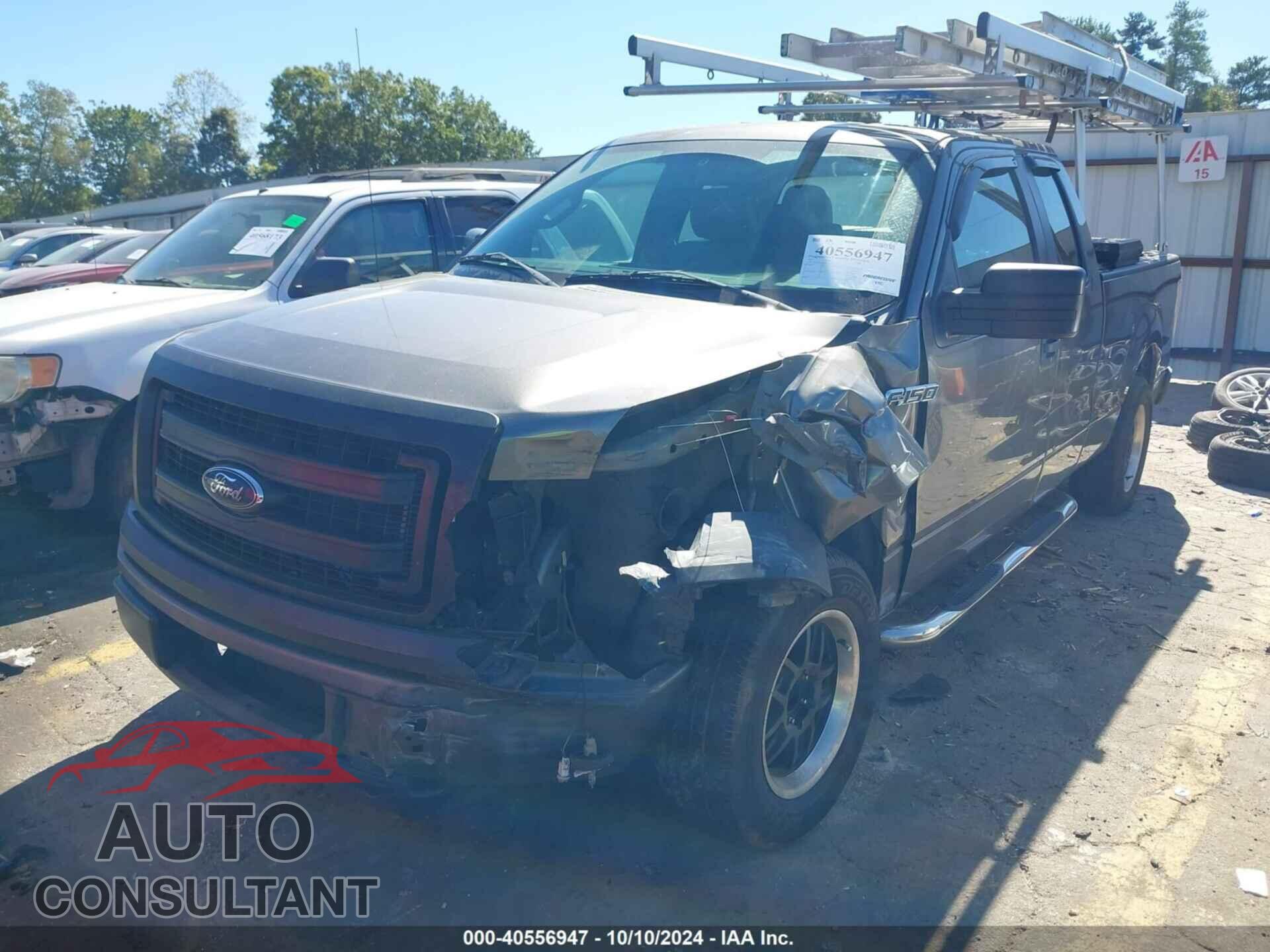FORD F-150 2013 - 1FTFX1CF3DFA41978