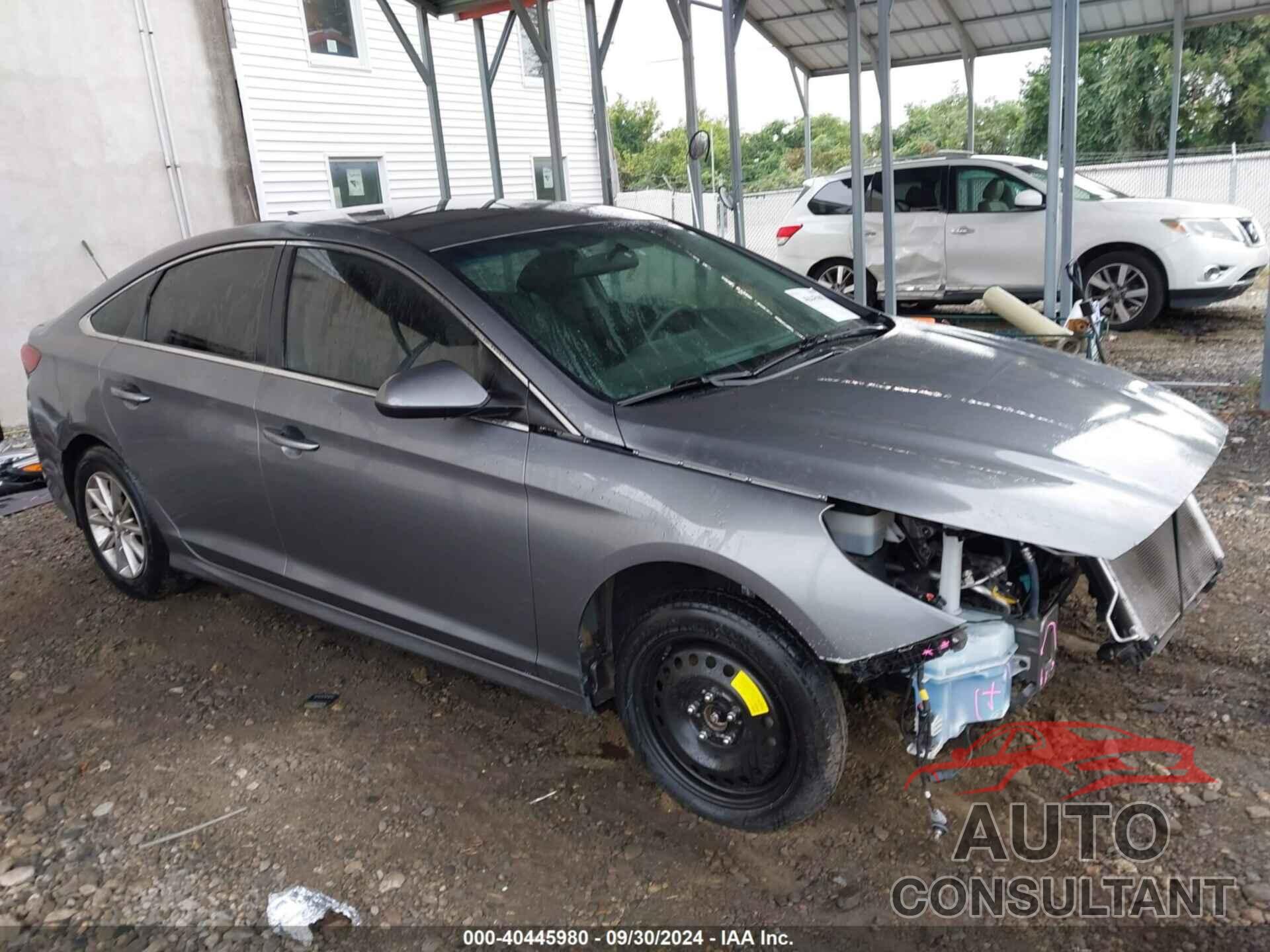 HYUNDAI SONATA 2019 - 5NPE24AF6KH756528