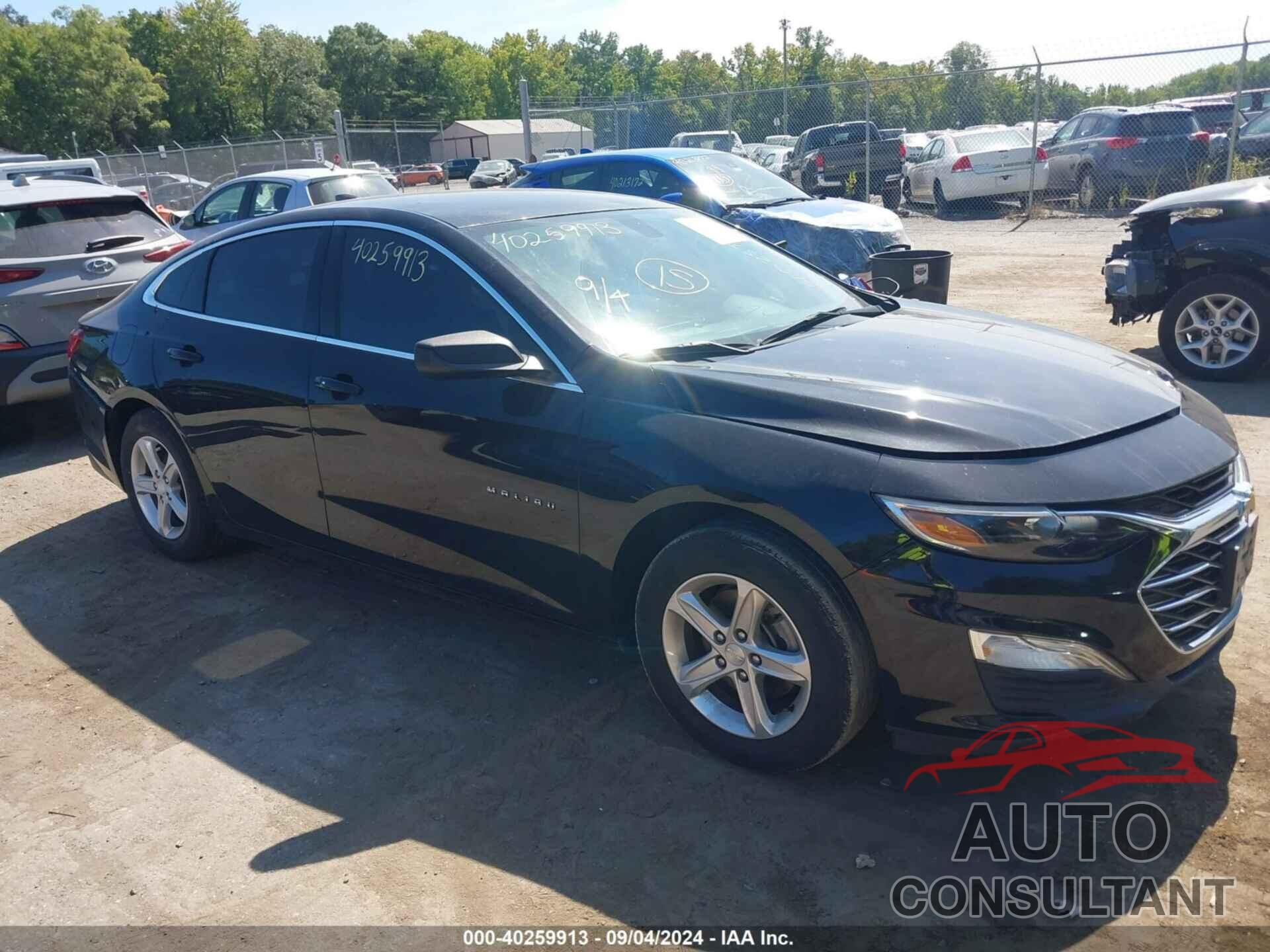 CHEVROLET MALIBU 2019 - 1G1ZB5ST8KF202955