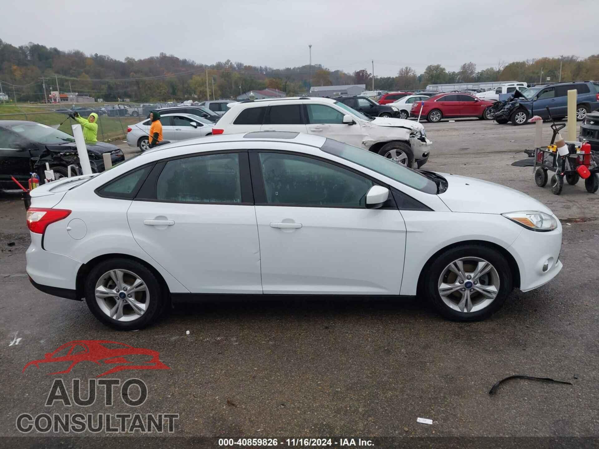 FORD FOCUS 2012 - 1FAHP3F21CL366566