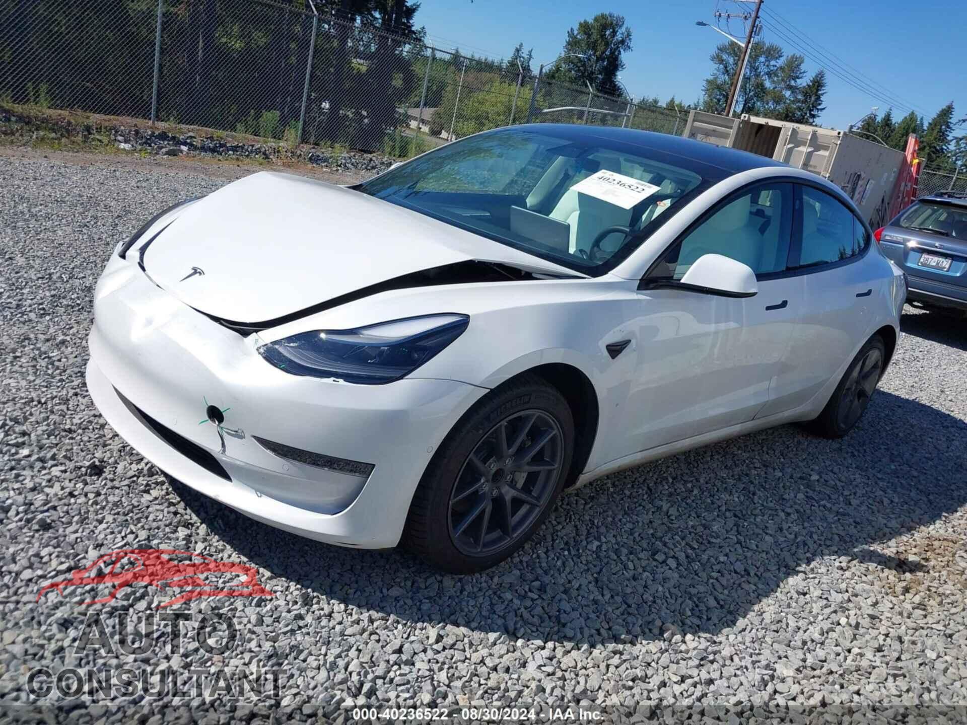TESLA MODEL 3 2021 - 5YJ3E1EA3MF084506