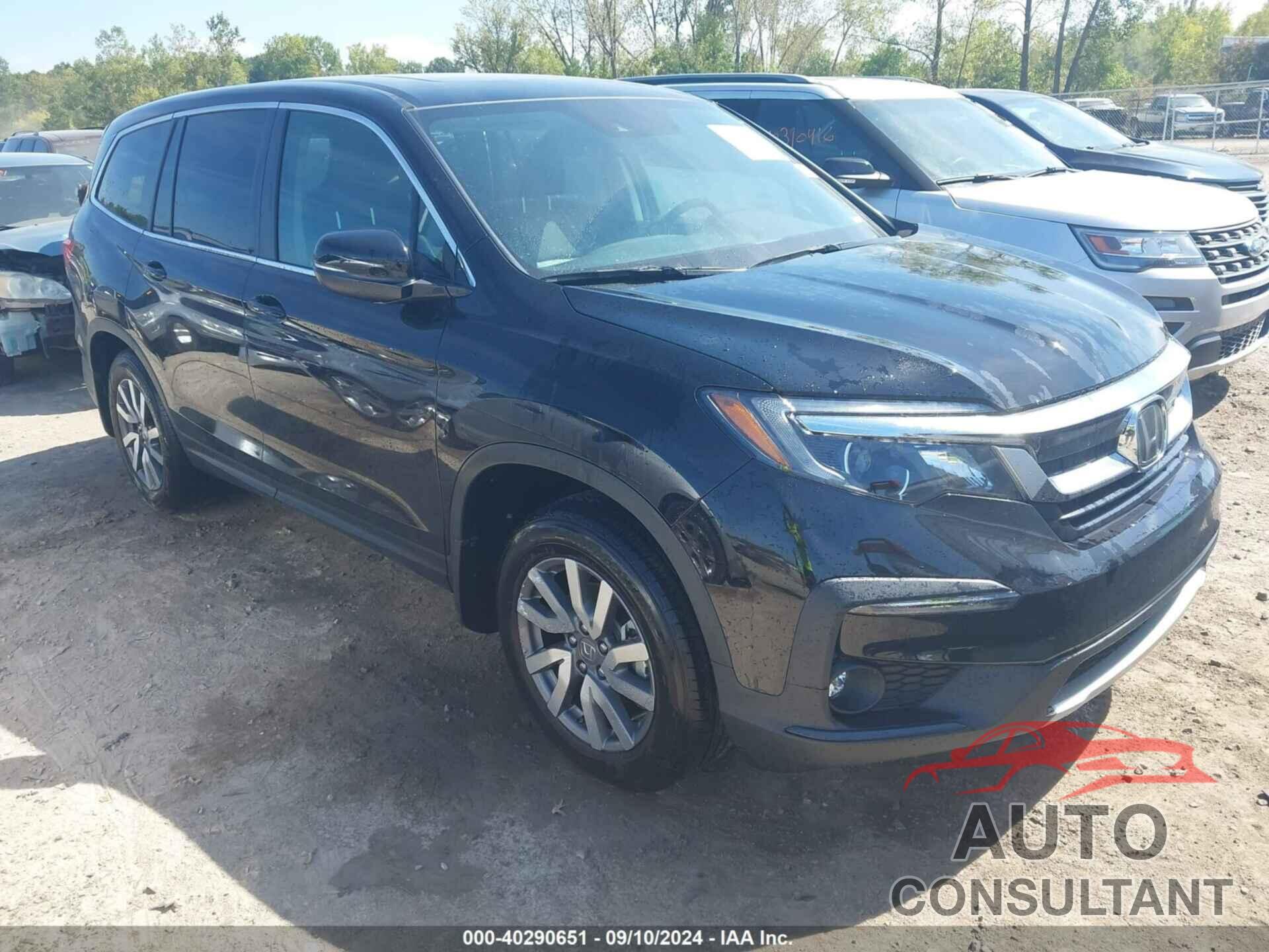 HONDA PILOT 2019 - 5FNYF6H55KB086382