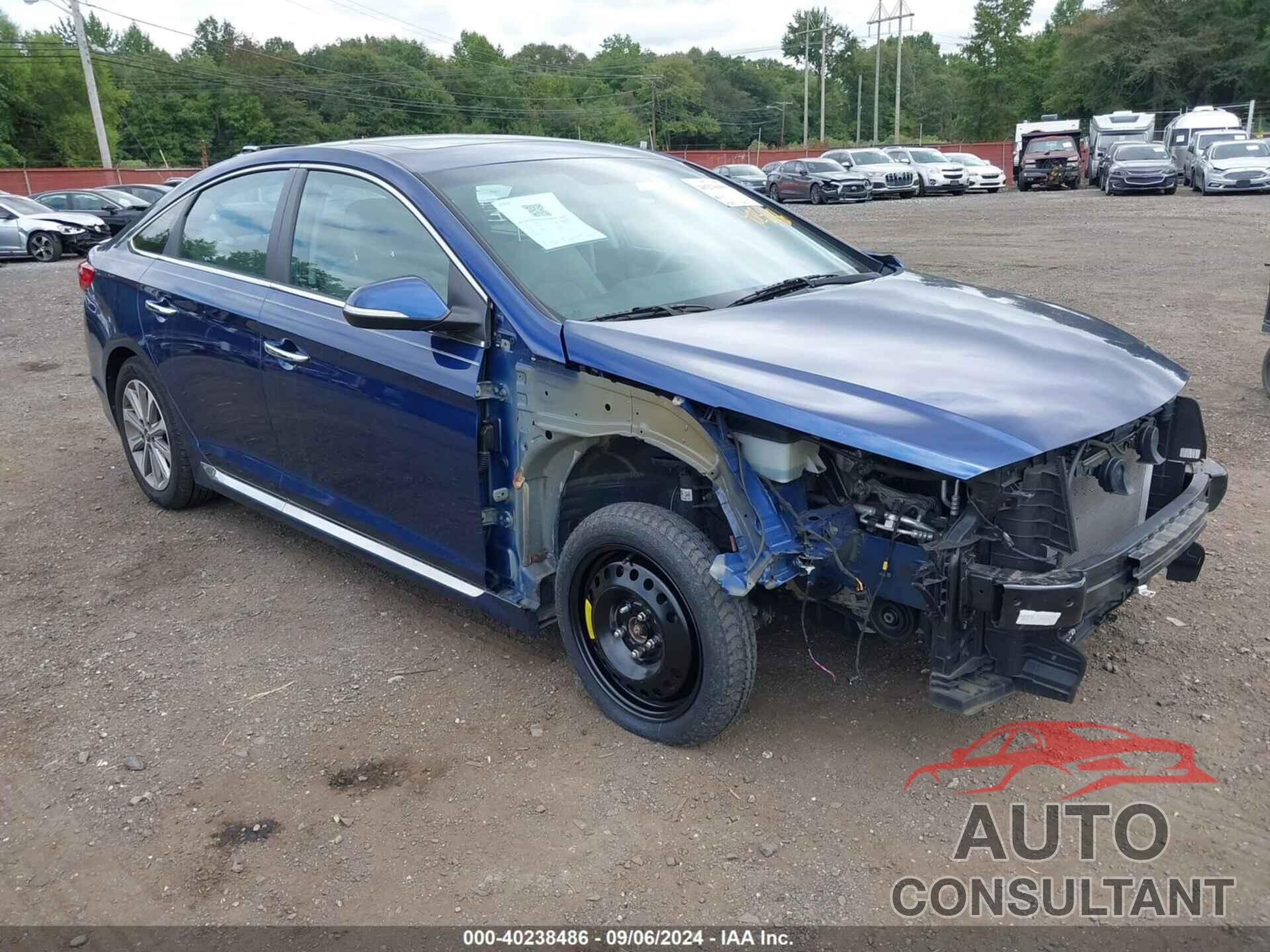 HYUNDAI SONATA 2017 - 5NPE34AF7HH438360