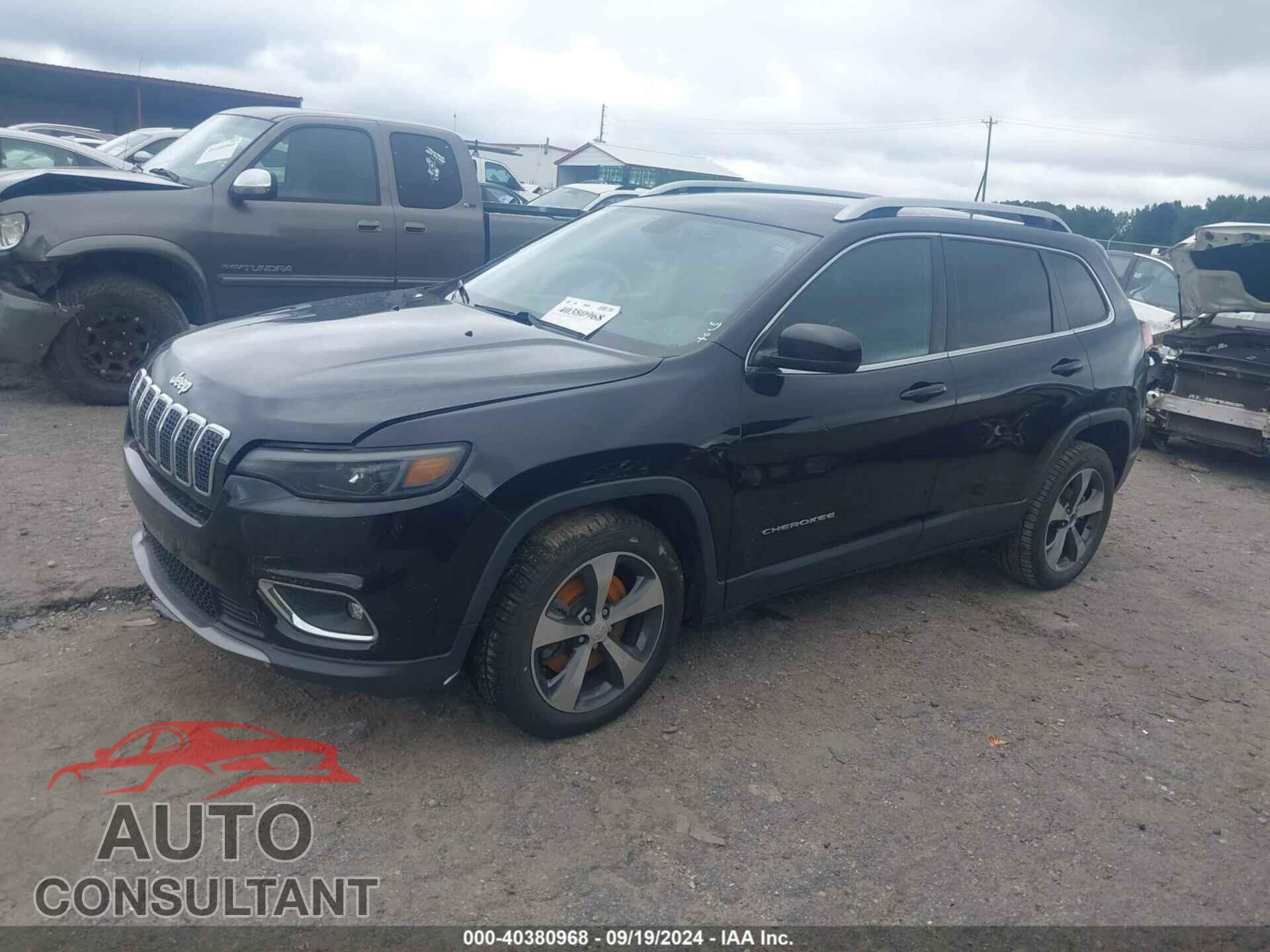 JEEP CHEROKEE 2019 - 1C4PJLDB6KD201700