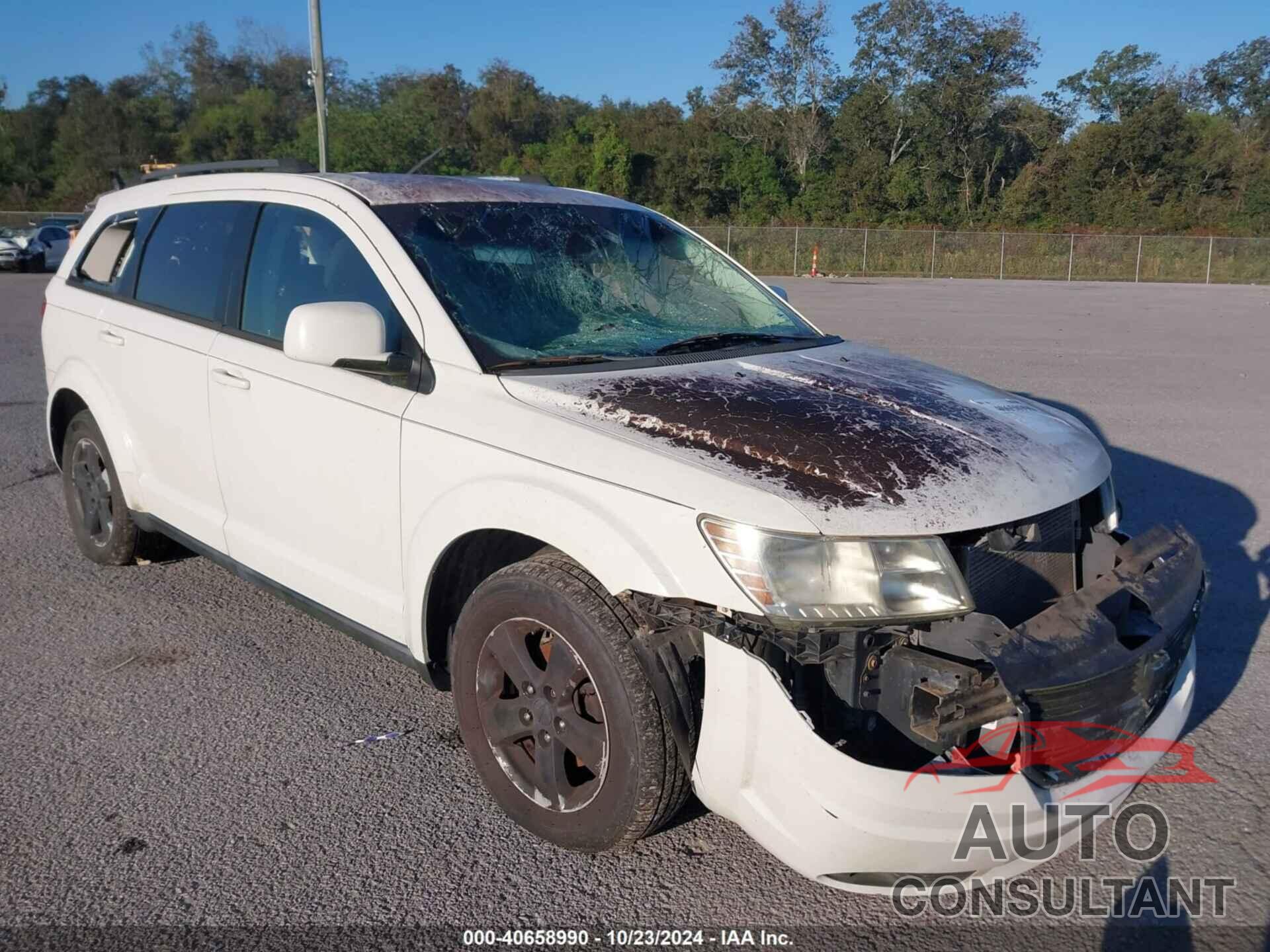 DODGE JOURNEY 2010 - 3D4PG5FV5AT151742