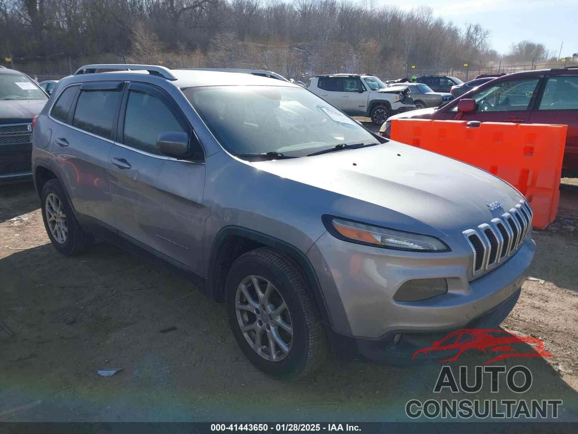 JEEP CHEROKEE 2014 - 1C4PJMCB1EW198219