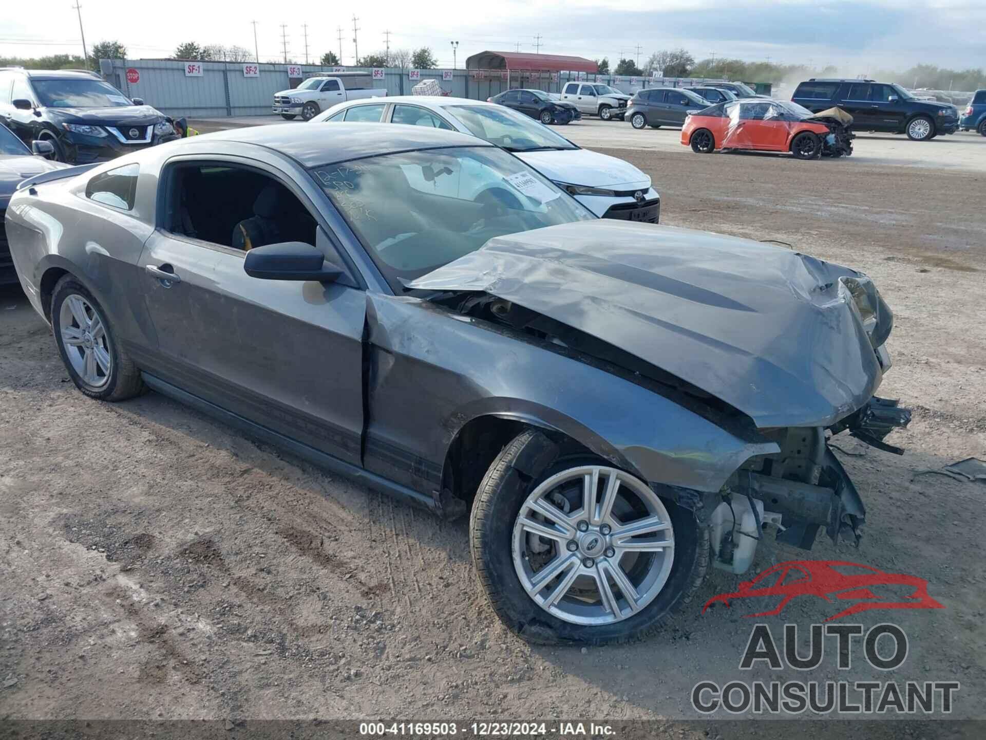 FORD MUSTANG 2011 - 1ZVBP8AMXB5117334