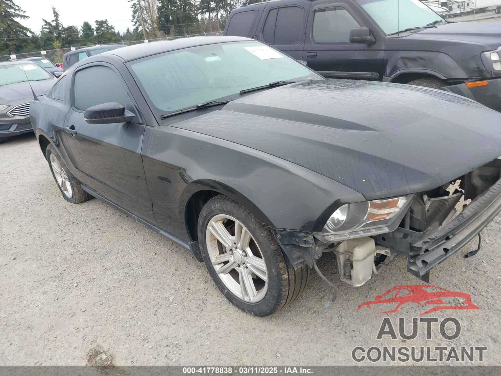 FORD MUSTANG 2010 - 1ZVBP8AN3A5172778