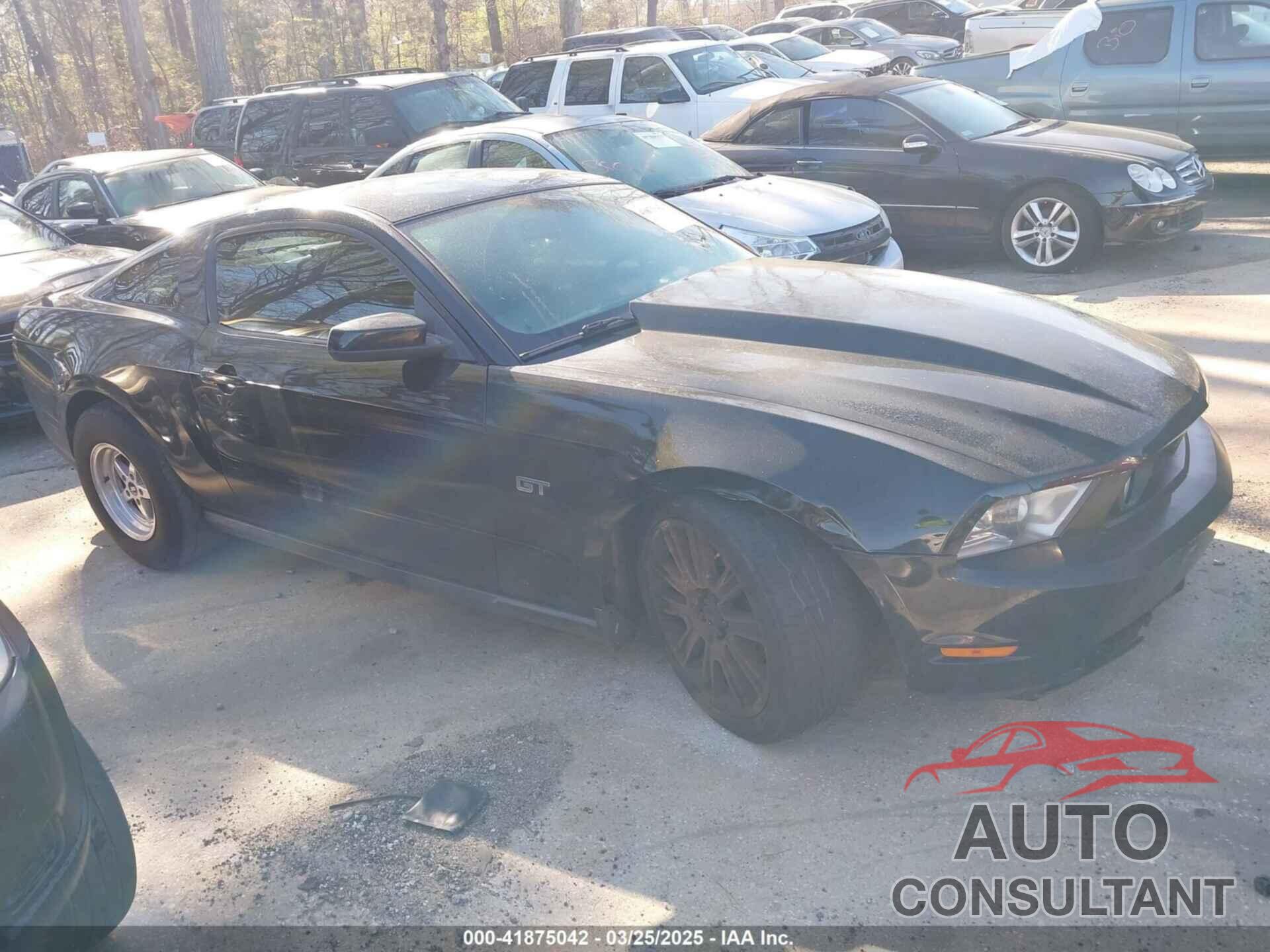 FORD MUSTANG 2010 - 1ZVBP8CH1A5123926