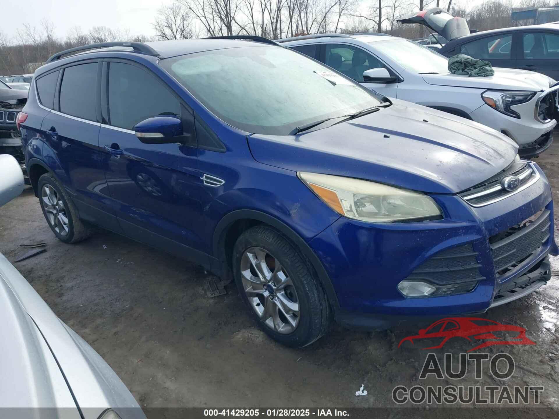 FORD ESCAPE 2013 - 1FMCU0H96DUC69134