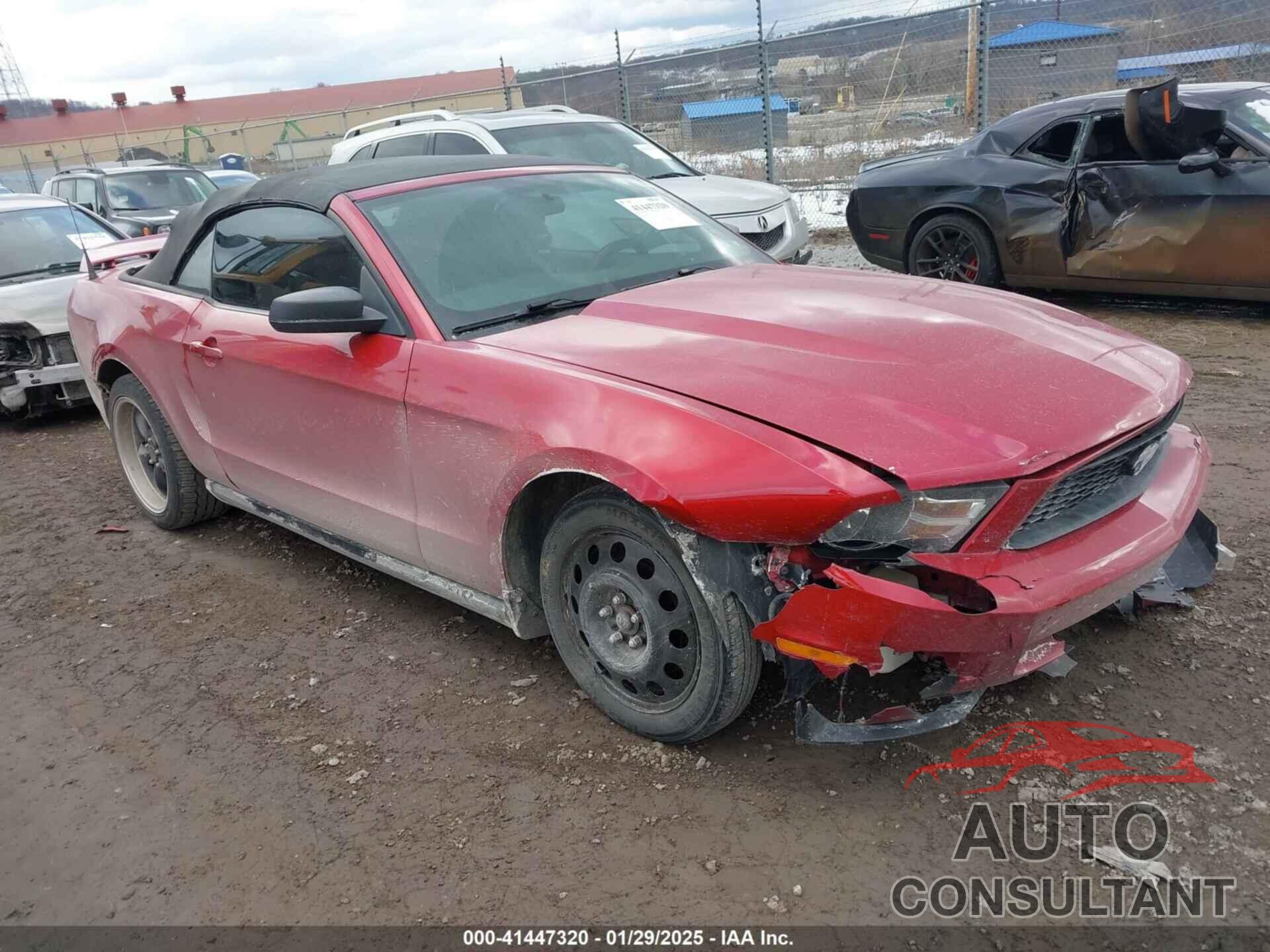 FORD MUSTANG 2010 - 1ZVBP8EN8A5124834