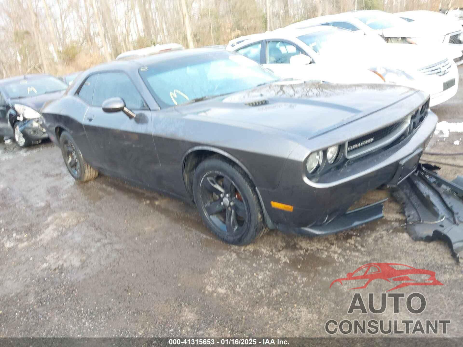 DODGE CHALLENGER 2013 - 2C3CDYAG2DH596360