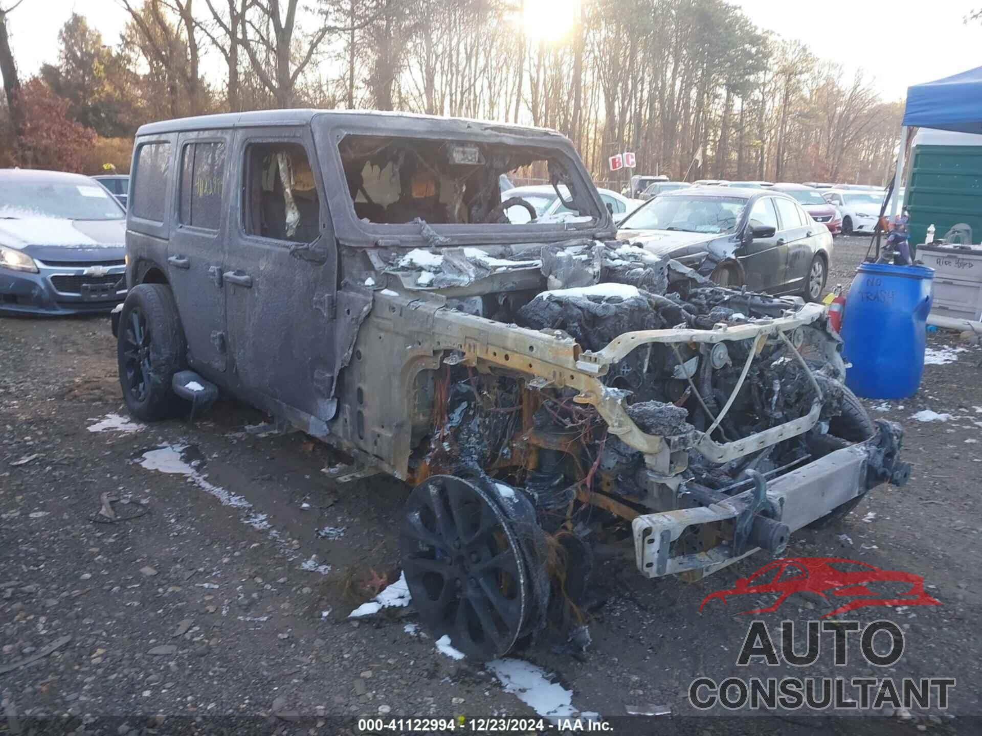JEEP WRANGLER 4XE 2024 - 1C4RJXP65RW230117