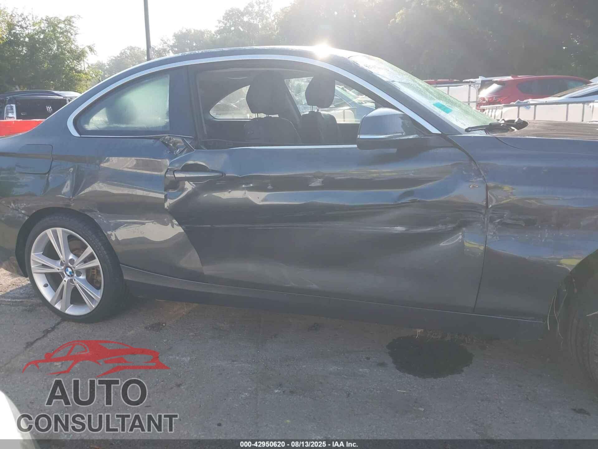 BMW 228I 2014 - WBA1F5C50EV256380