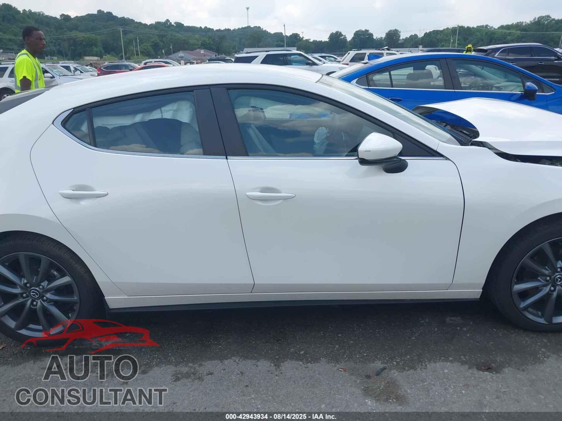 MAZDA MAZDA3 HATCHBACK 2019 - JM1BPBJM3K1124200
