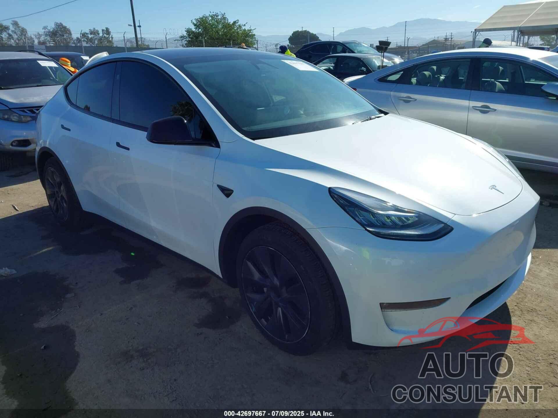 TESLA MODEL Y 2025 - 7SAYGAEE8SF218428