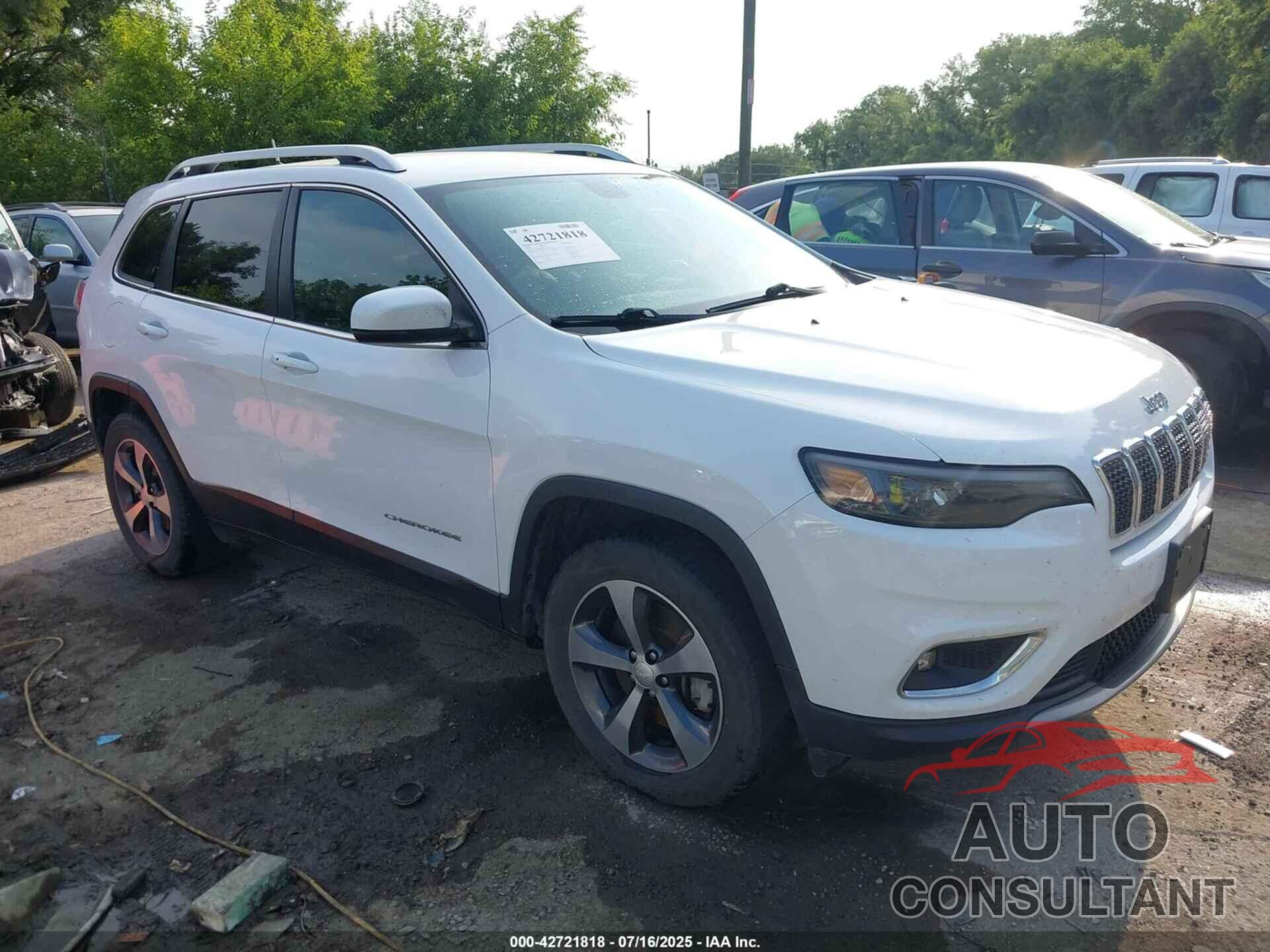 JEEP CHEROKEE 2019 - 1C4PJMDX3KD423242