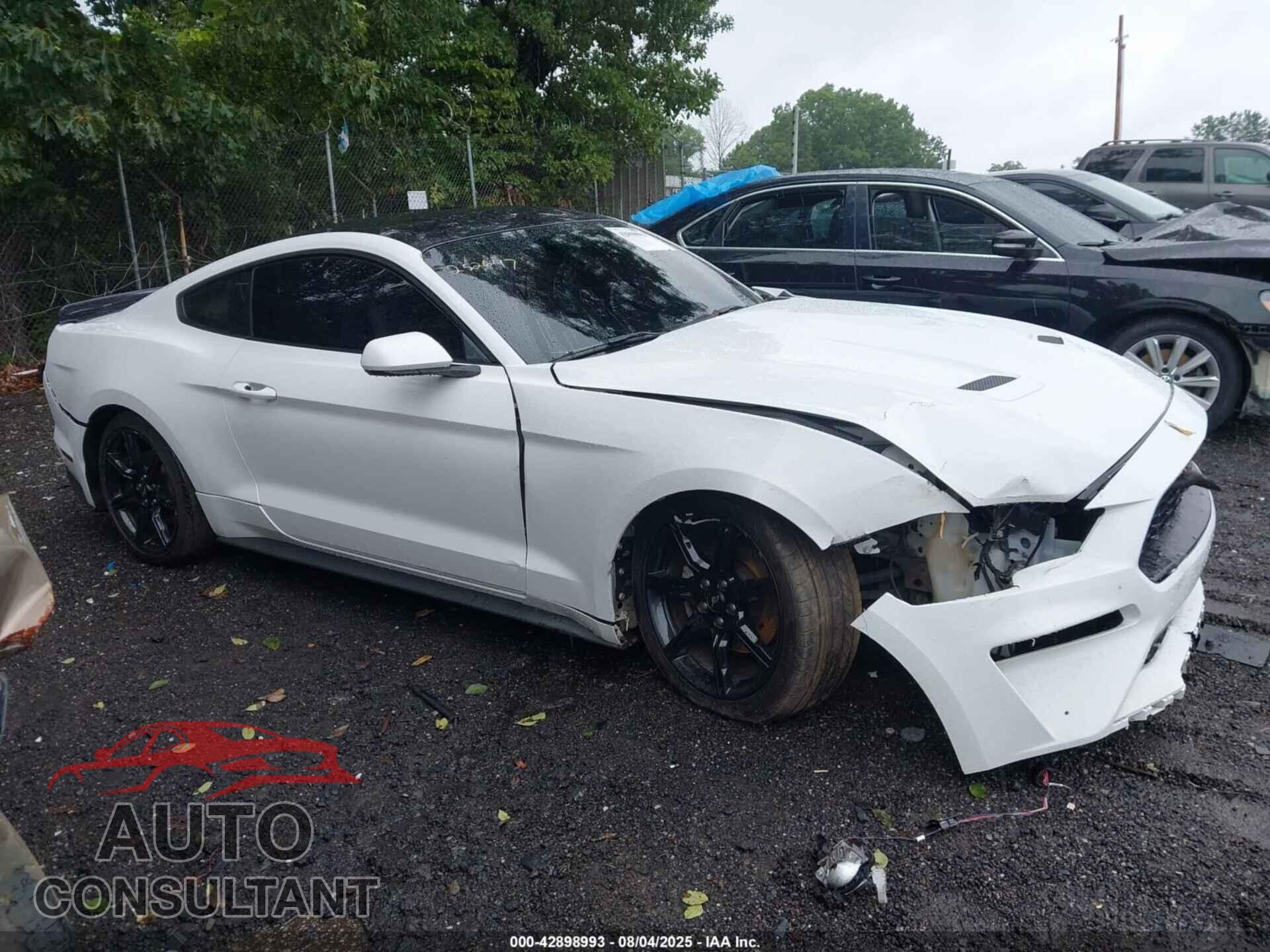 FORD MUSTANG 2019 - 1FA6P8TH3K5111482
