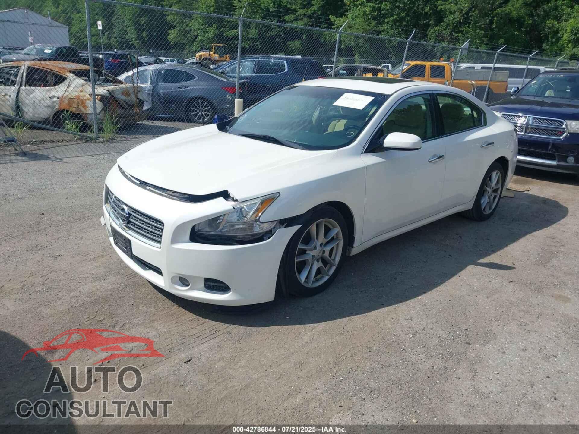 NISSAN MAXIMA 2011 - 1N4AA5APXBC814402