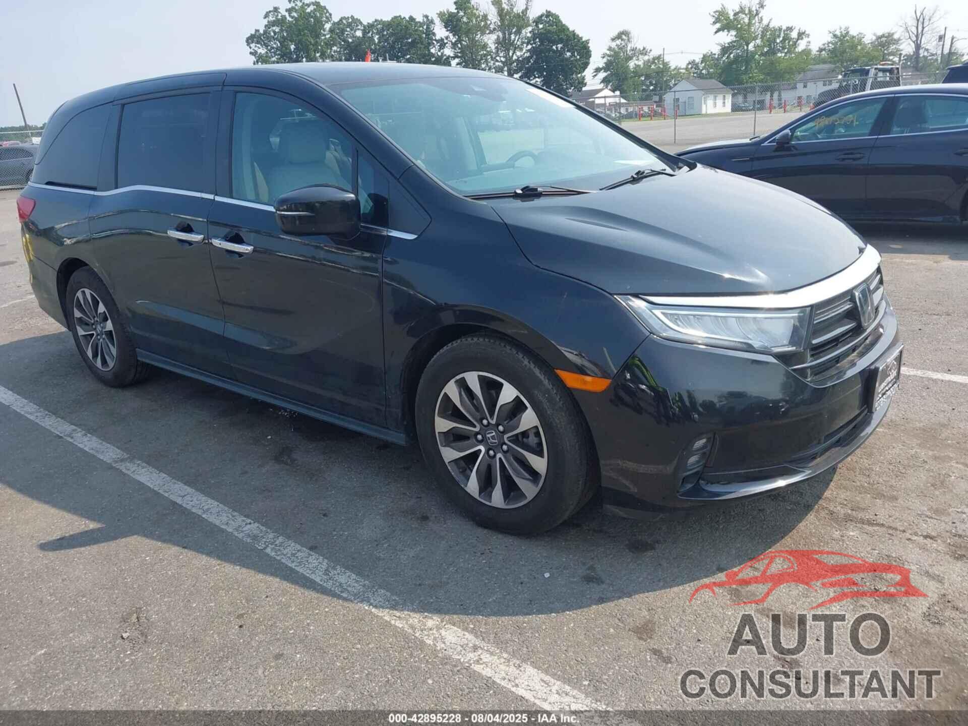 HONDA ODYSSEY 2022 - 5FNRL6H77NB031189